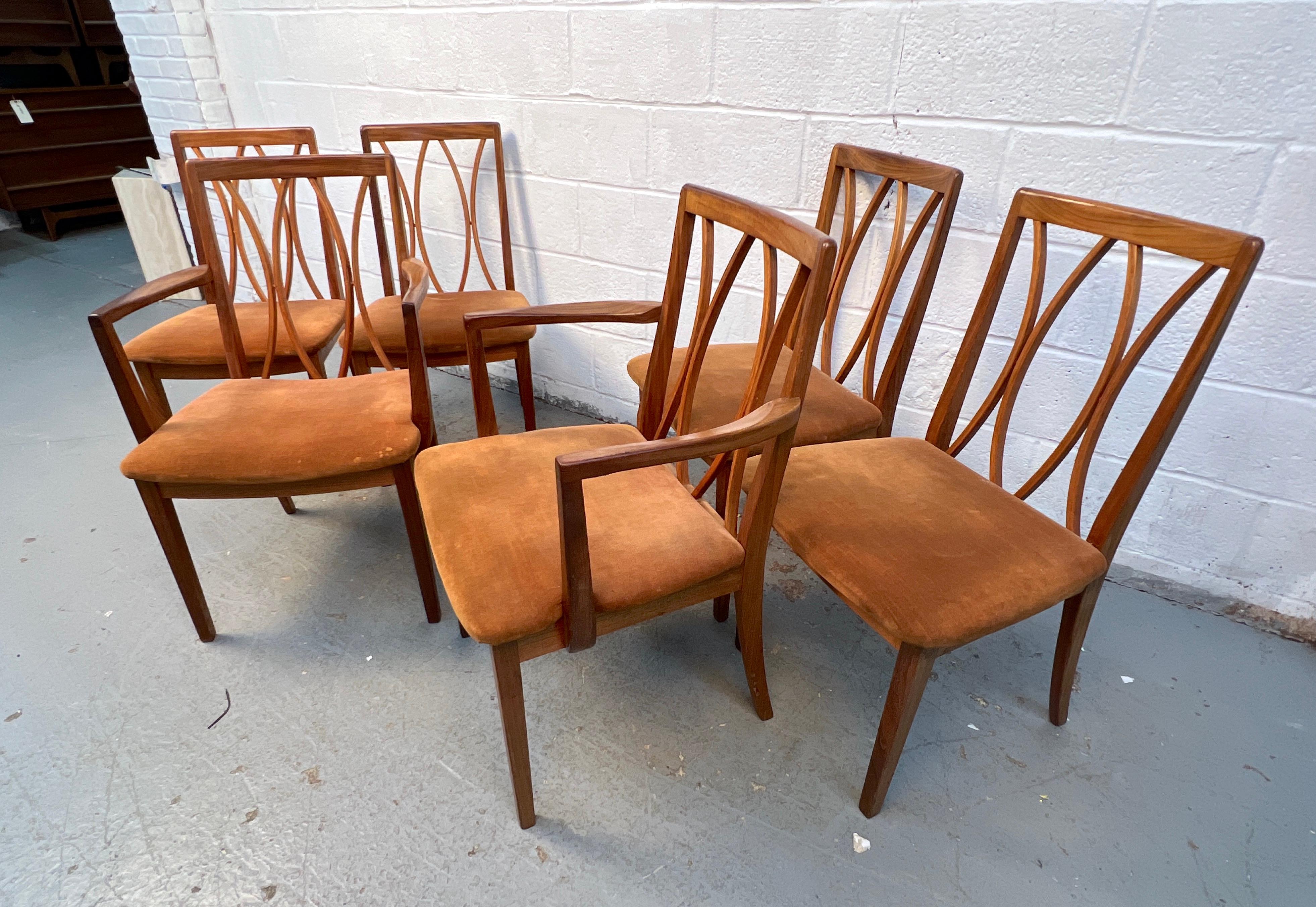 Mid-Century moderno Set di sei sedie da pranzo di metà secolo di G-Plan in vendita