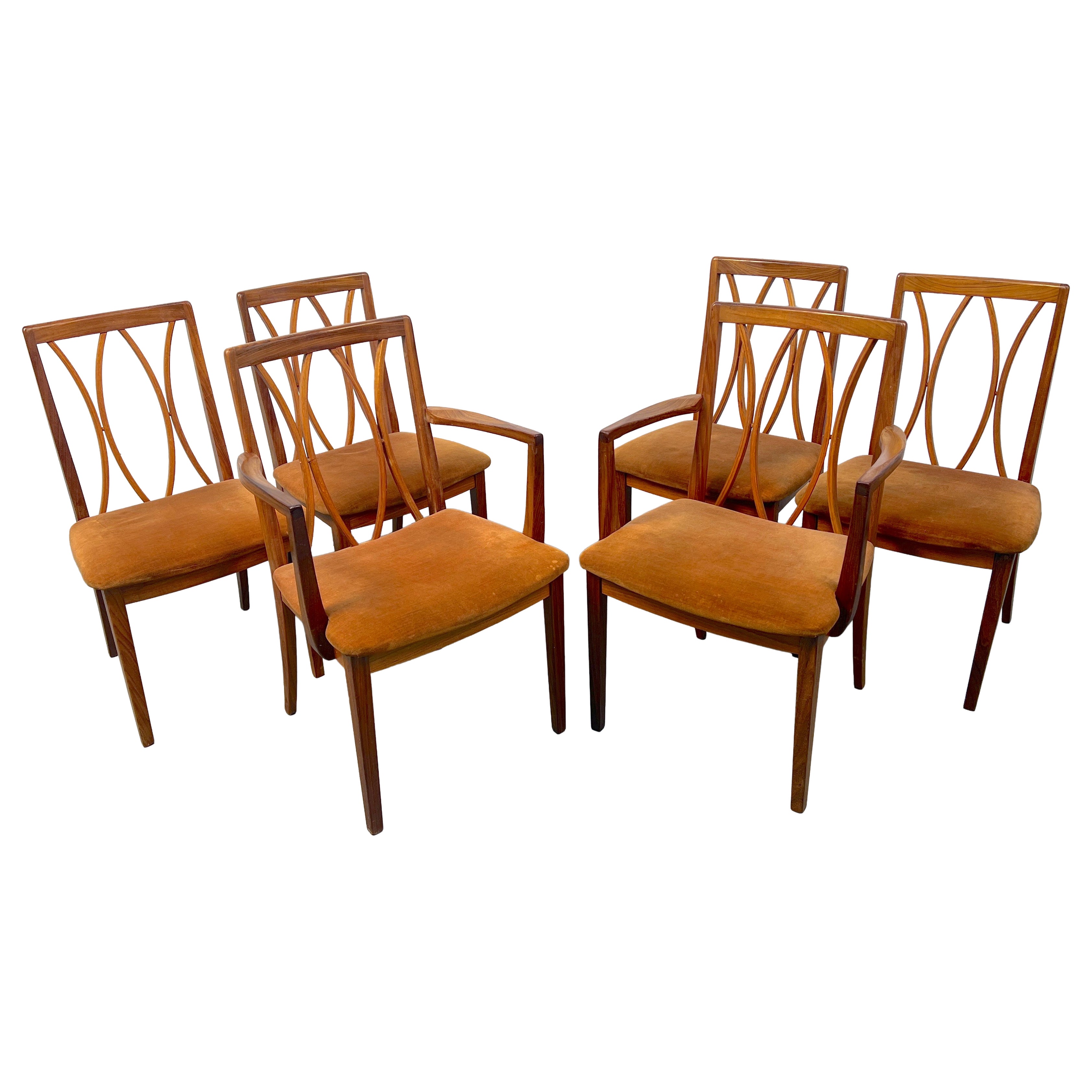 Set di sei sedie da pranzo di metà secolo di G-Plan in vendita