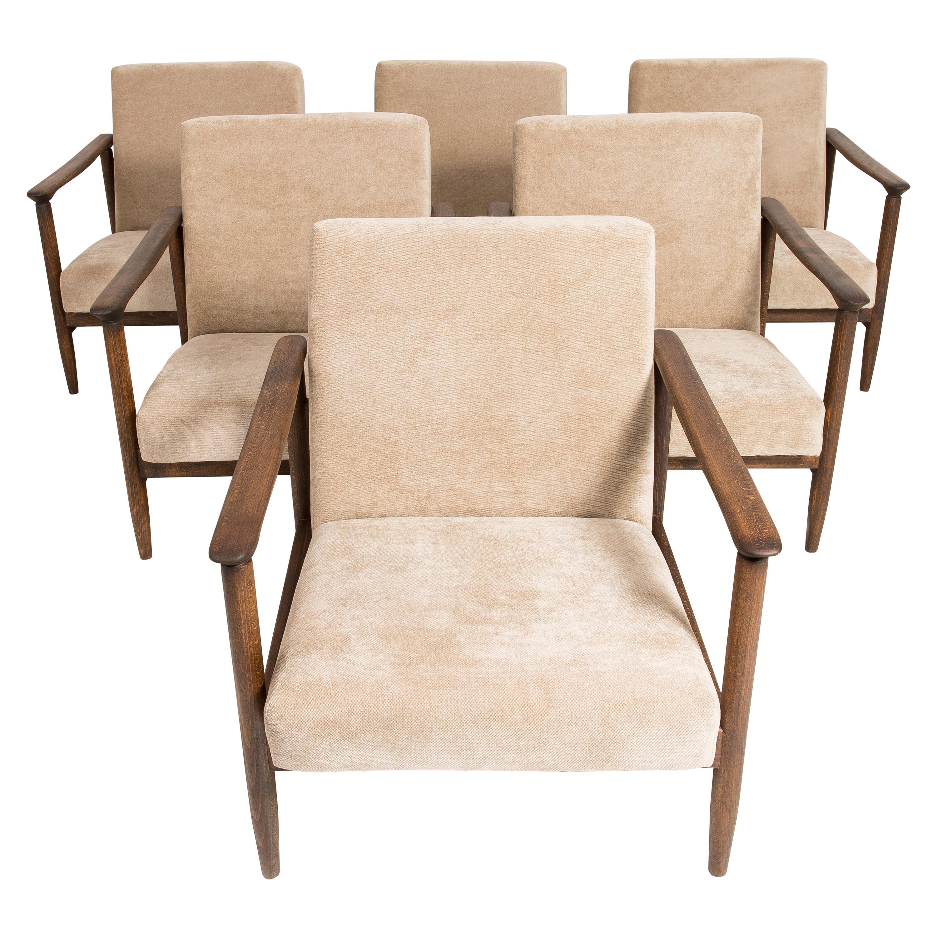 Ensemble de six fauteuils beige de style moderne du milieu du siècle:: Edmund Homa:: années 1960:: Pologne