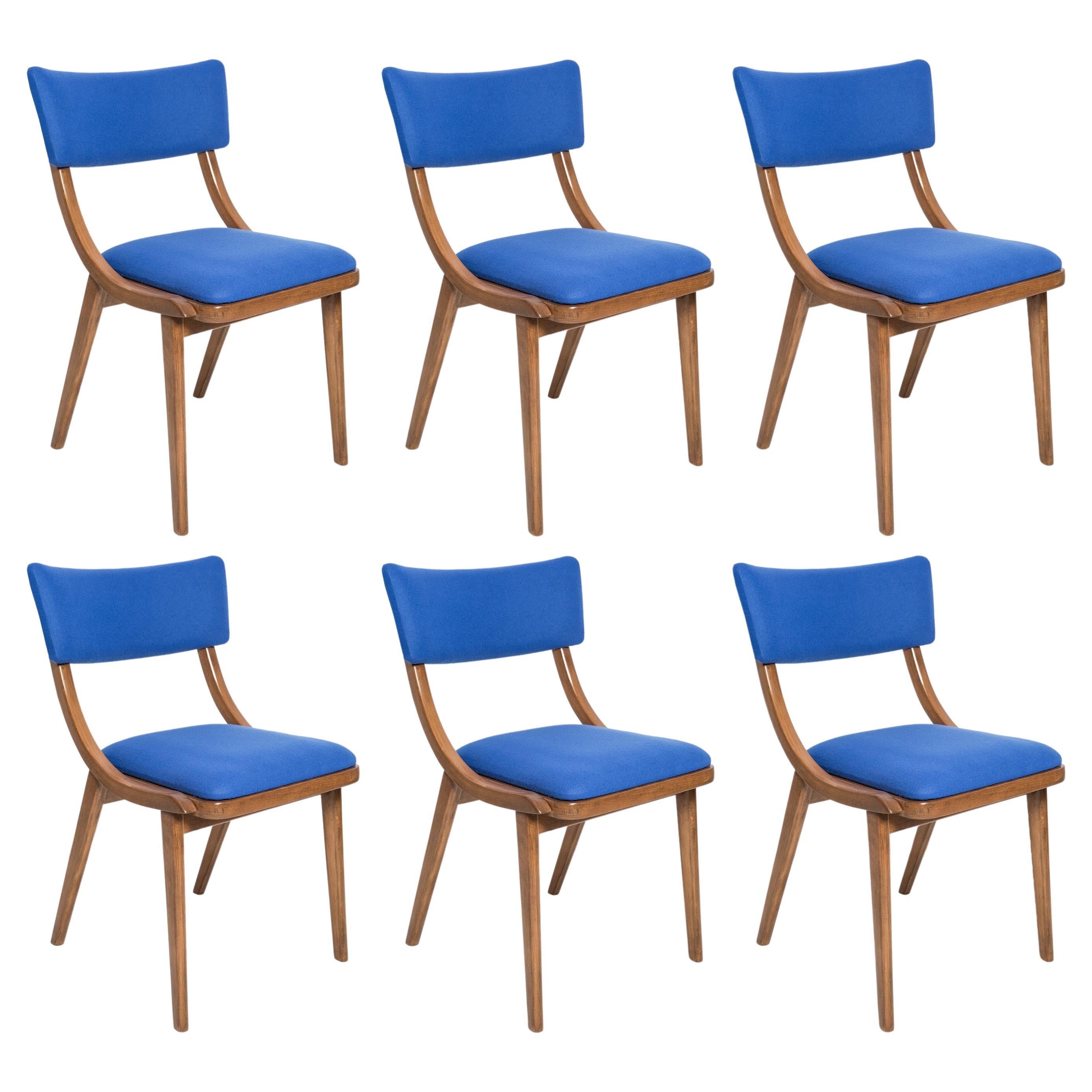 Set of Six Mid Century Modern Bumerang Chairs, Royal Blue Wool, Poland, 1960s For Sale