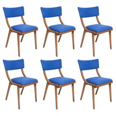 Set of Six Mid Century Modern Bumerang Chairs, Royal Blue Wool, Poland, 1960s