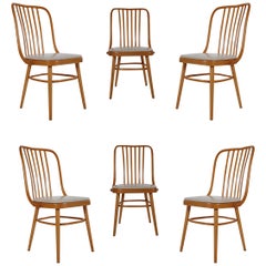 Set of Six Mid-Century Modern Spindle Back Dining Chairs in Maple after Thonet