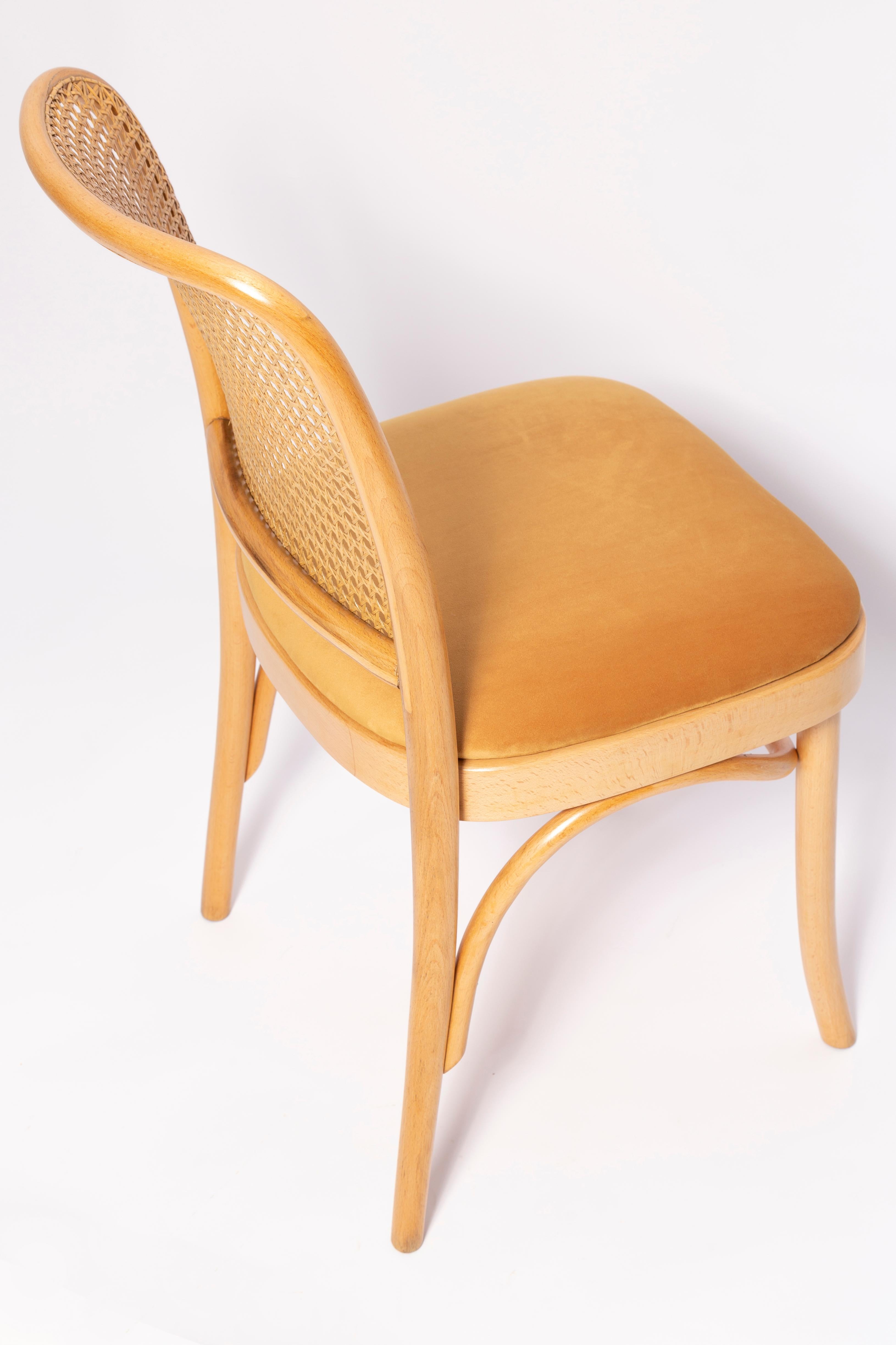 Set of Six Mid Century Yellow Velvet Thonet Wood Rattan Chairs, Europe, 1960s For Sale 3
