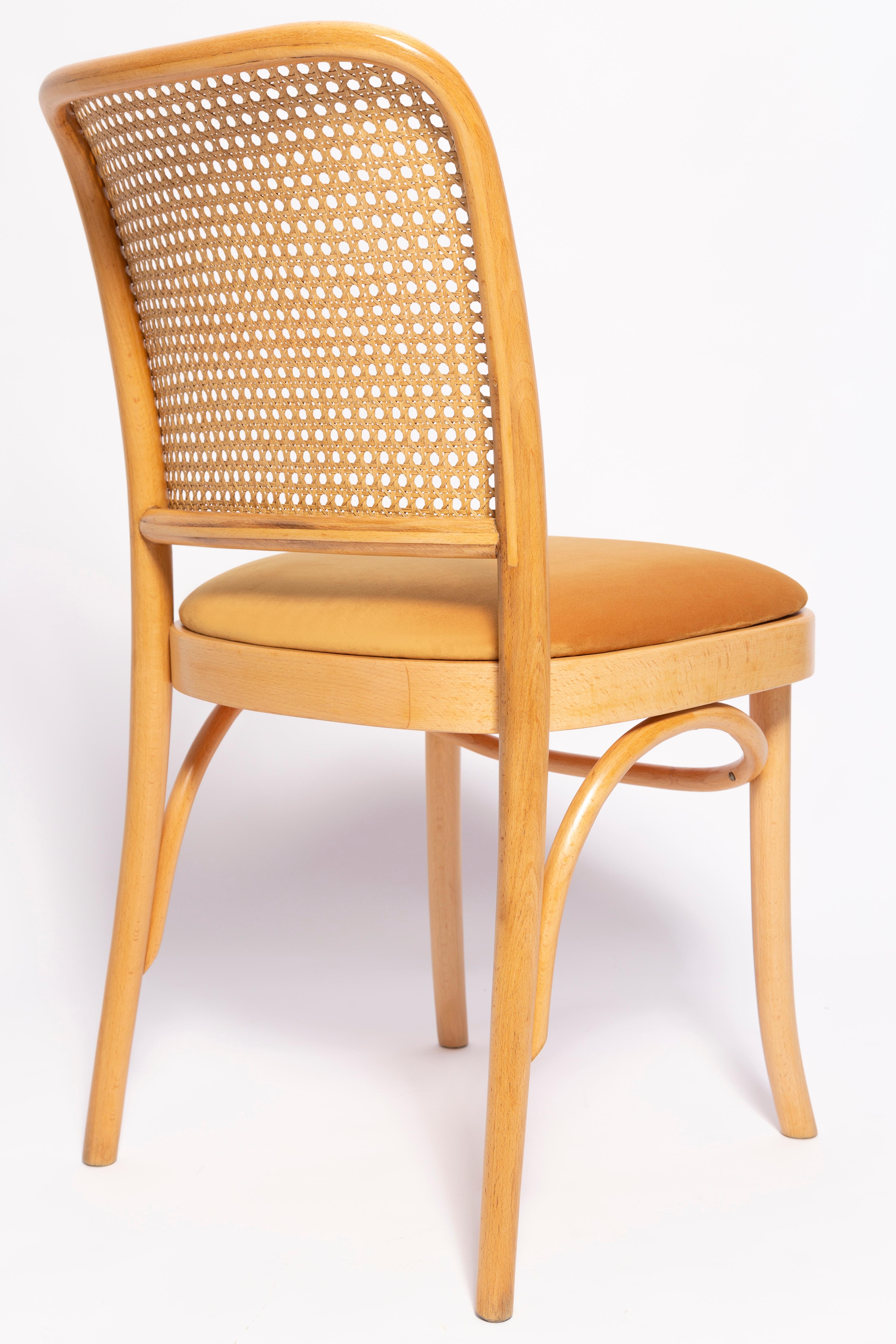 Set of Six Mid Century Yellow Velvet Thonet Wood Rattan Chairs, Europe, 1960s For Sale 4