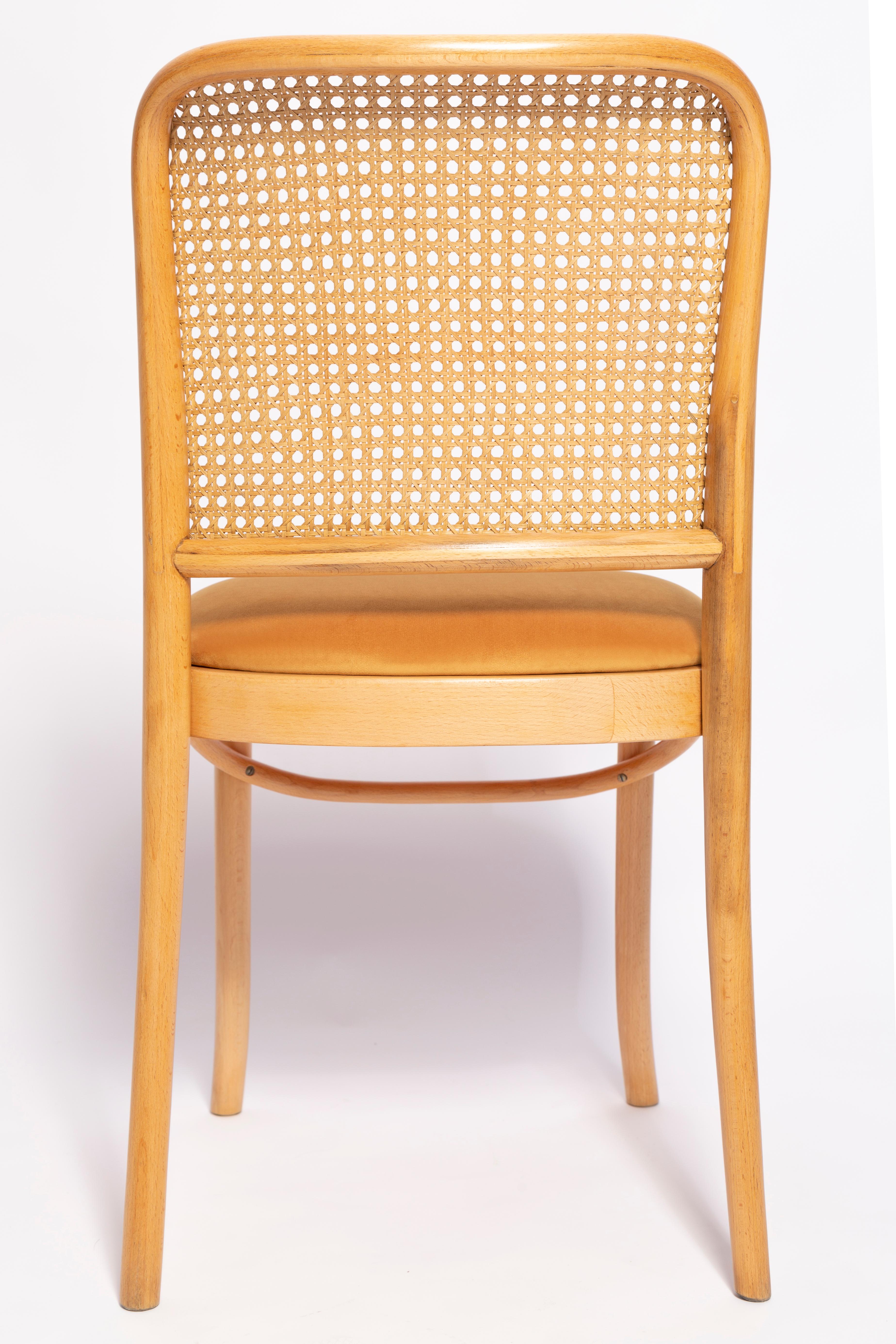 Set of Six Mid Century Yellow Velvet Thonet Wood Rattan Chairs, Europe, 1960s For Sale 5