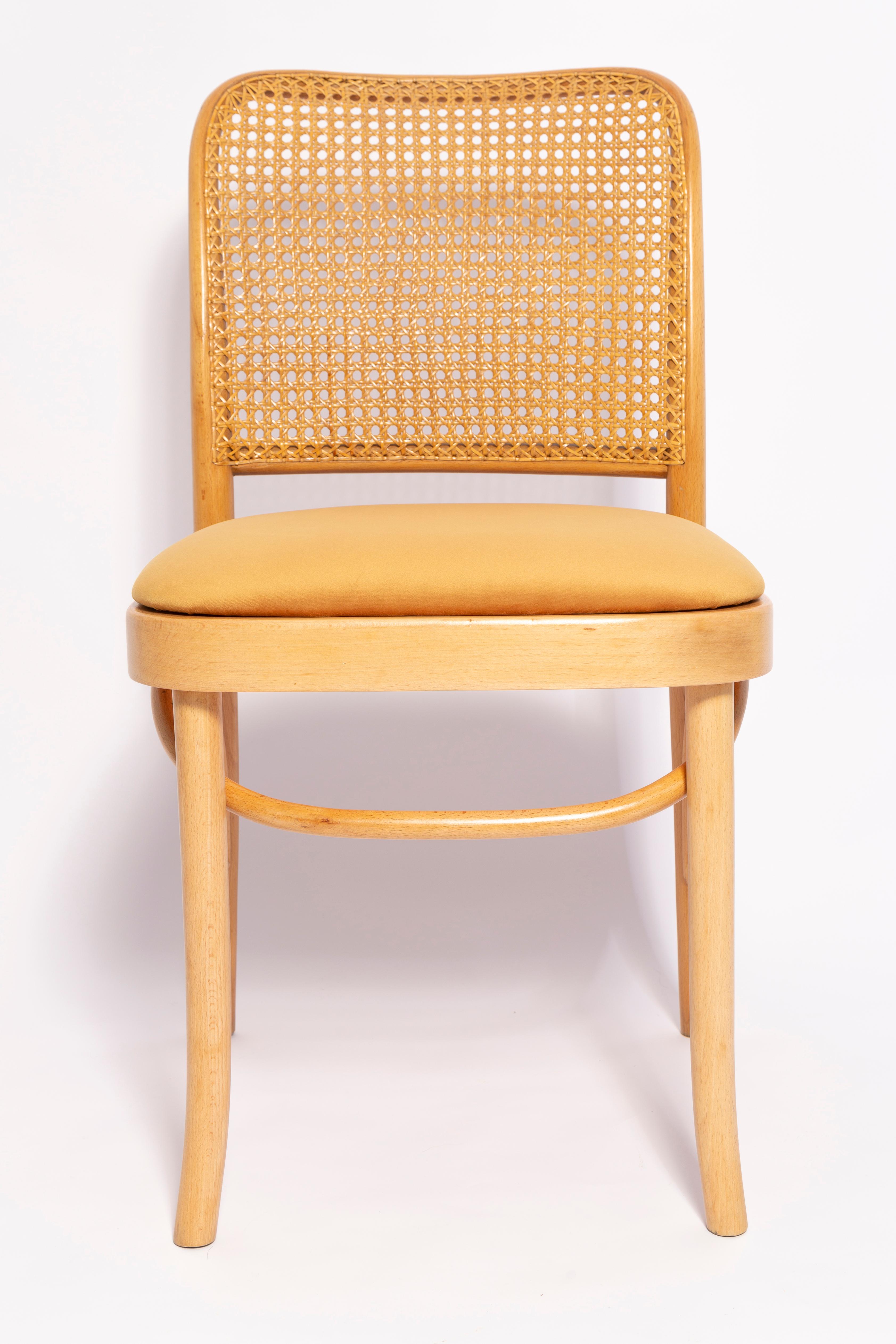 Set of Six Mid Century Yellow Velvet Thonet Wood Rattan Chairs, Europe, 1960s For Sale 7