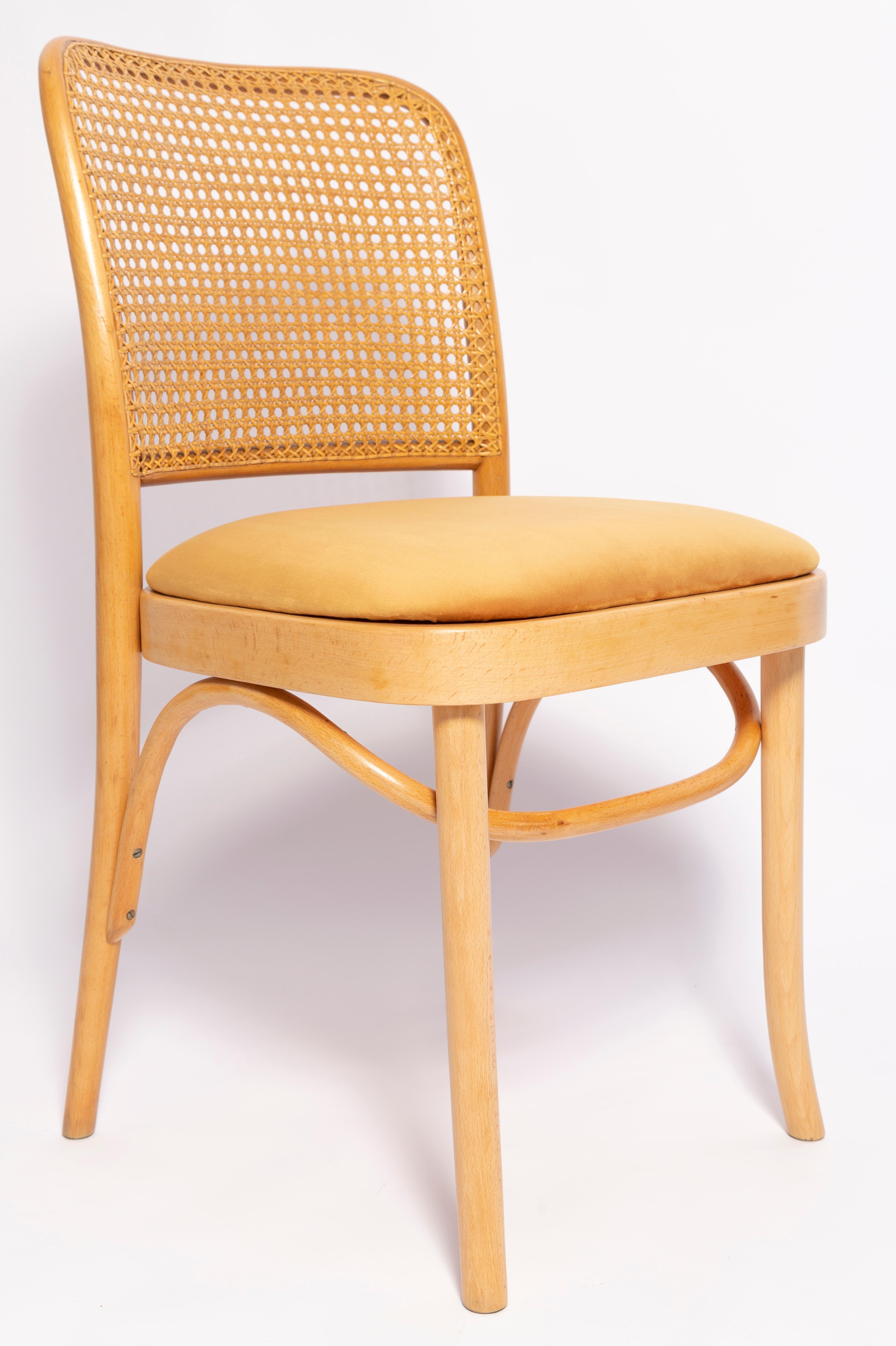 Mid-Century Modern Set of Six Mid Century Yellow Velvet Thonet Wood Rattan Chairs, Europe, 1960s For Sale
