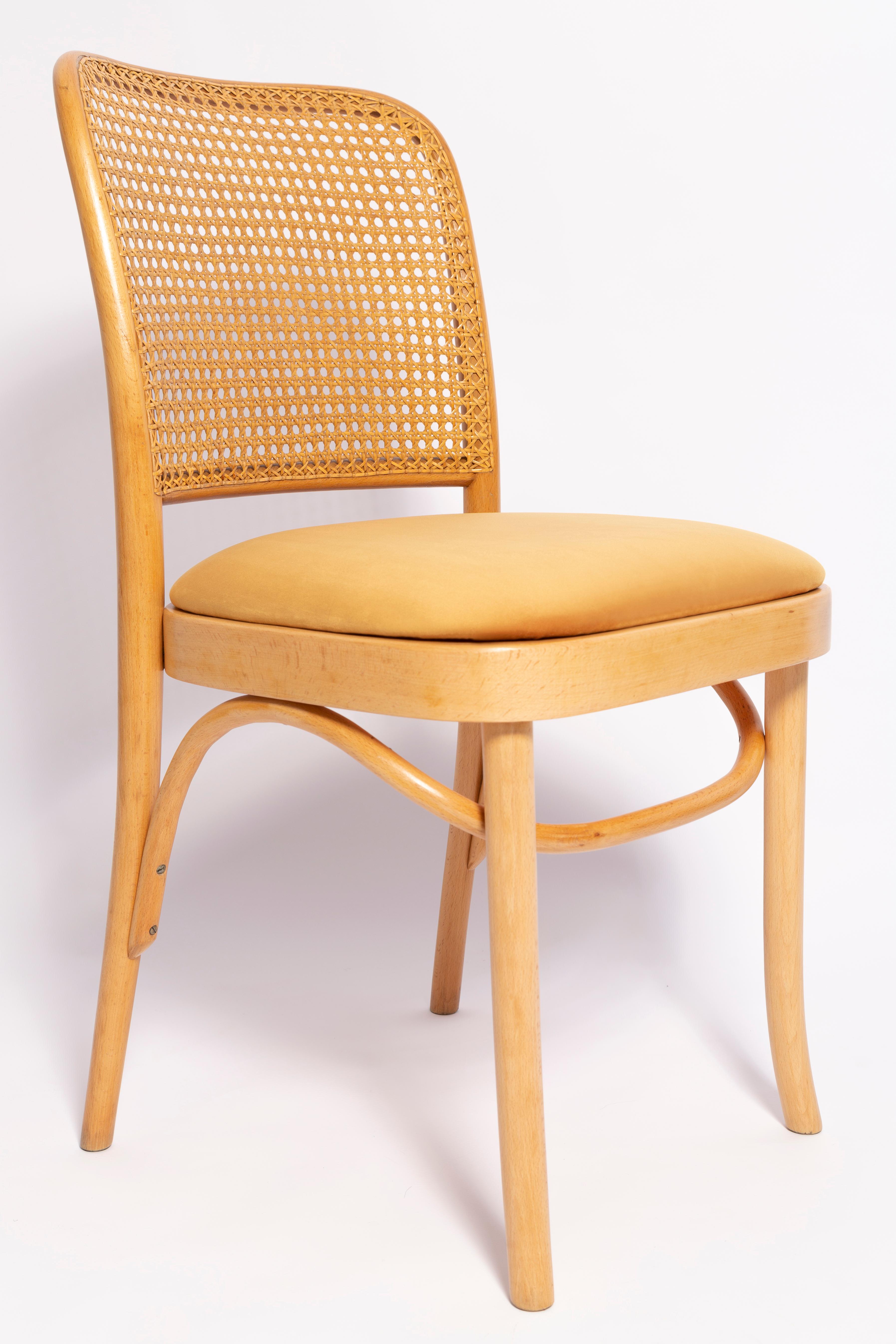 Polish Set of Six Mid Century Yellow Velvet Thonet Wood Rattan Chairs, Europe, 1960s For Sale