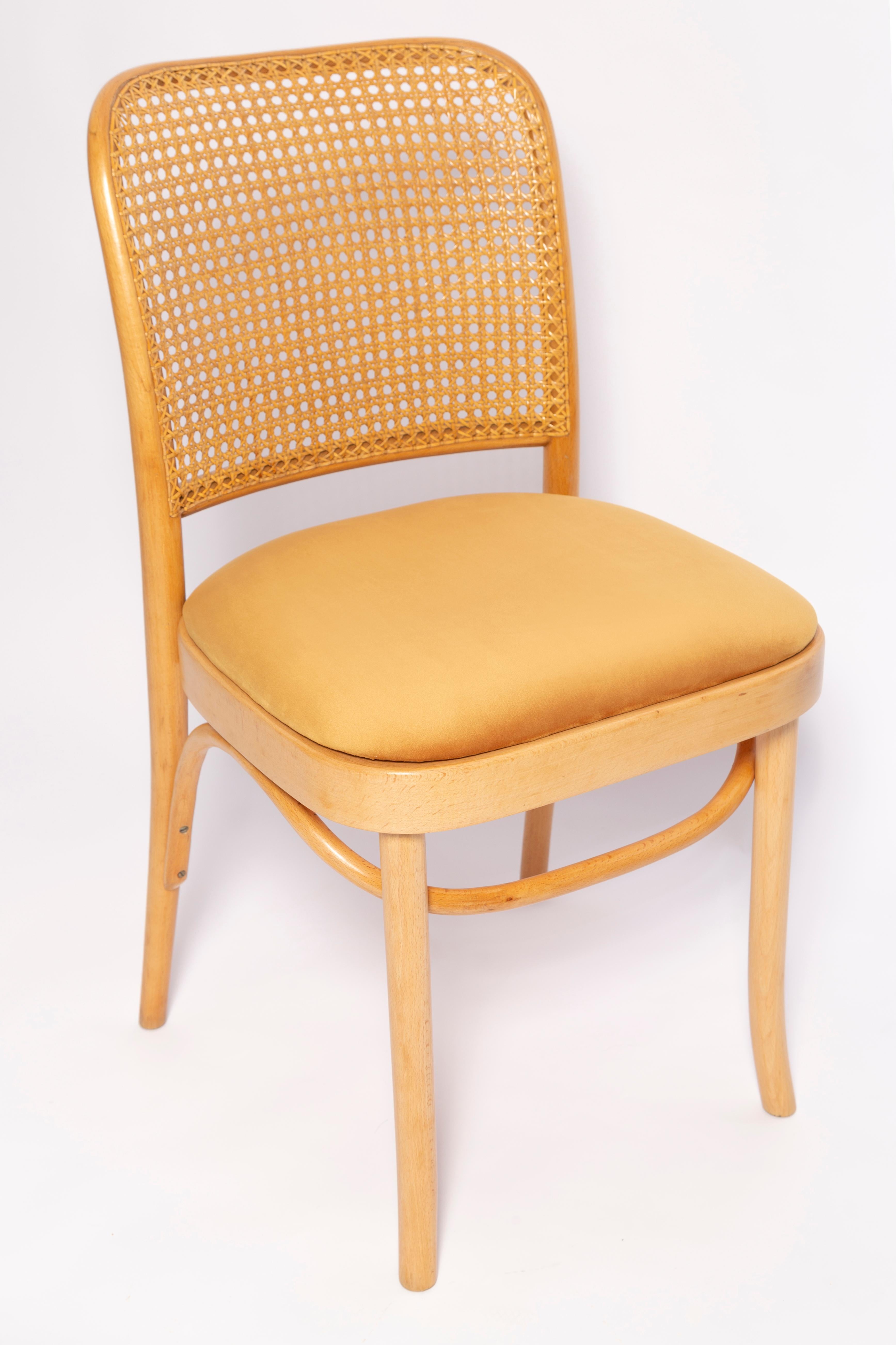 Hand-Crafted Set of Six Mid Century Yellow Velvet Thonet Wood Rattan Chairs, Europe, 1960s For Sale