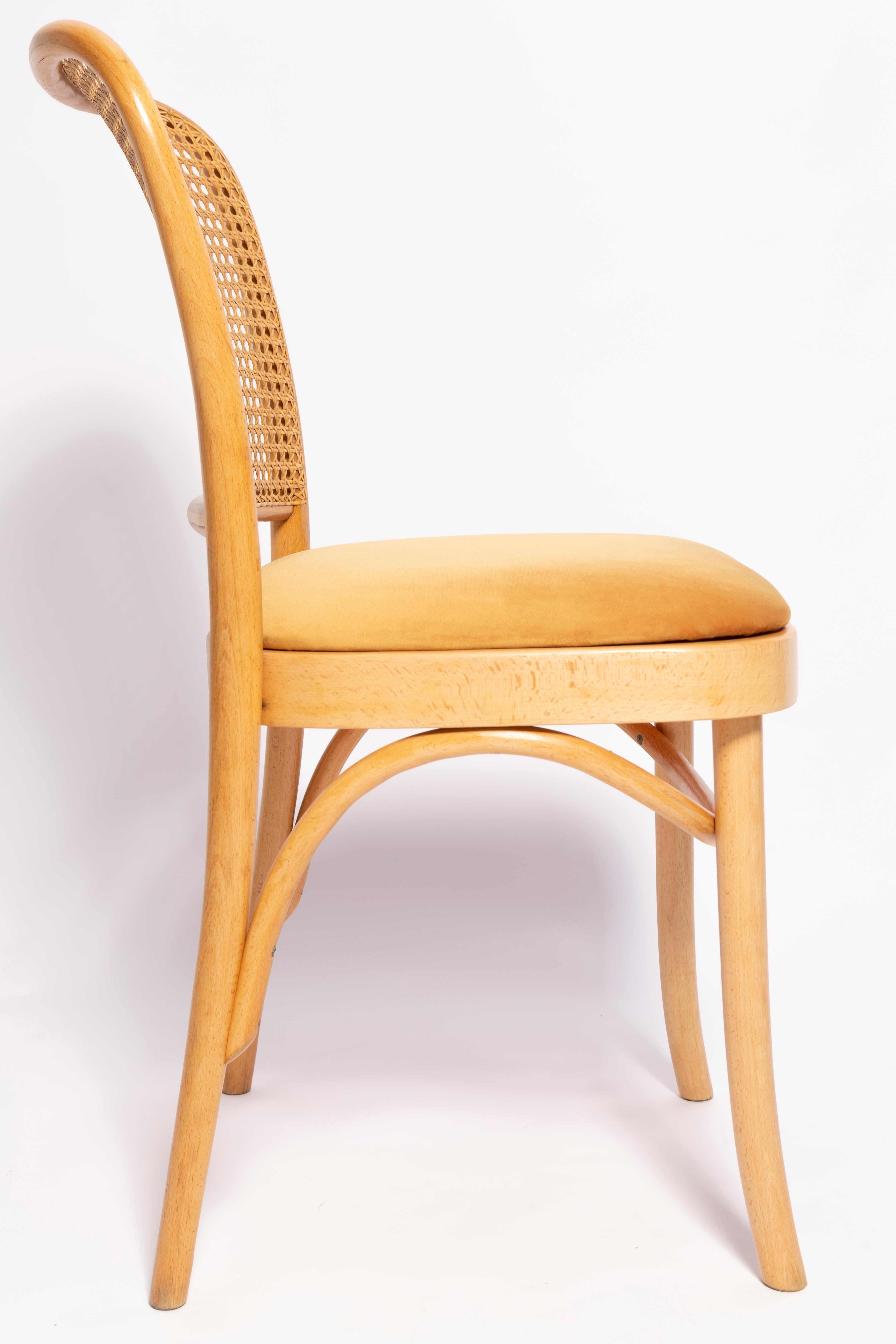 Set of Six Mid Century Yellow Velvet Thonet Wood Rattan Chairs, Europe, 1960s For Sale 2