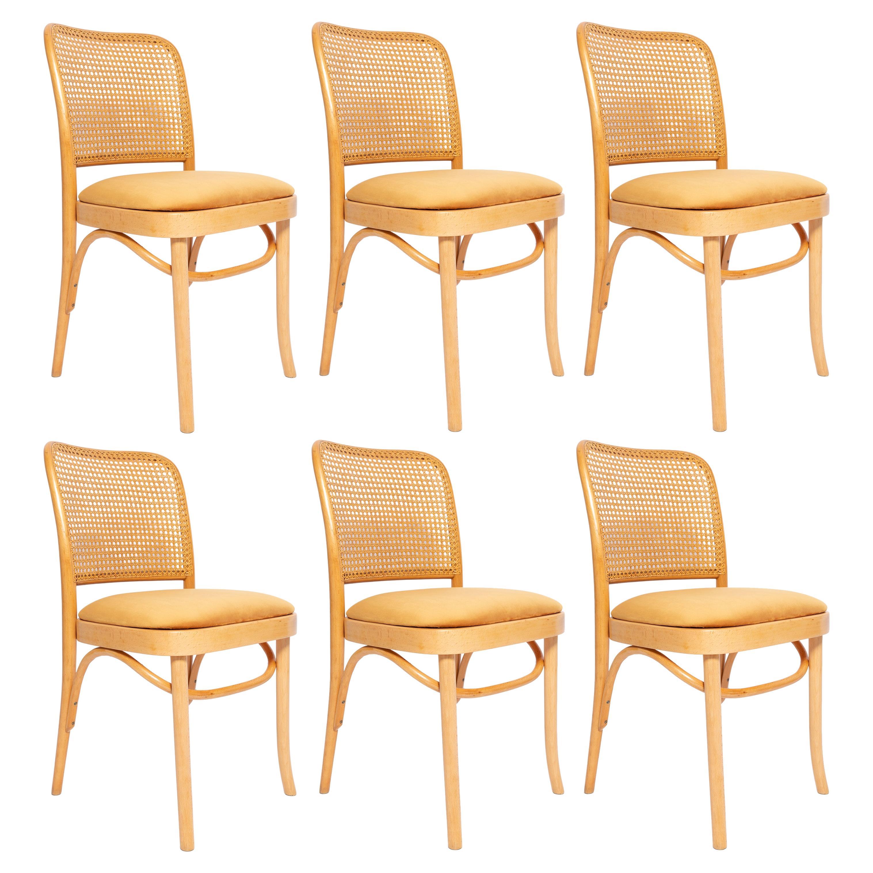 Set of Six Mid Century Yellow Velvet Thonet Wood Rattan Chairs, Europe, 1960s