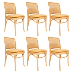 Set of Six Mid Century Yellow Velvet Thonet Wood Rattan Chairs, Europe, 1960s