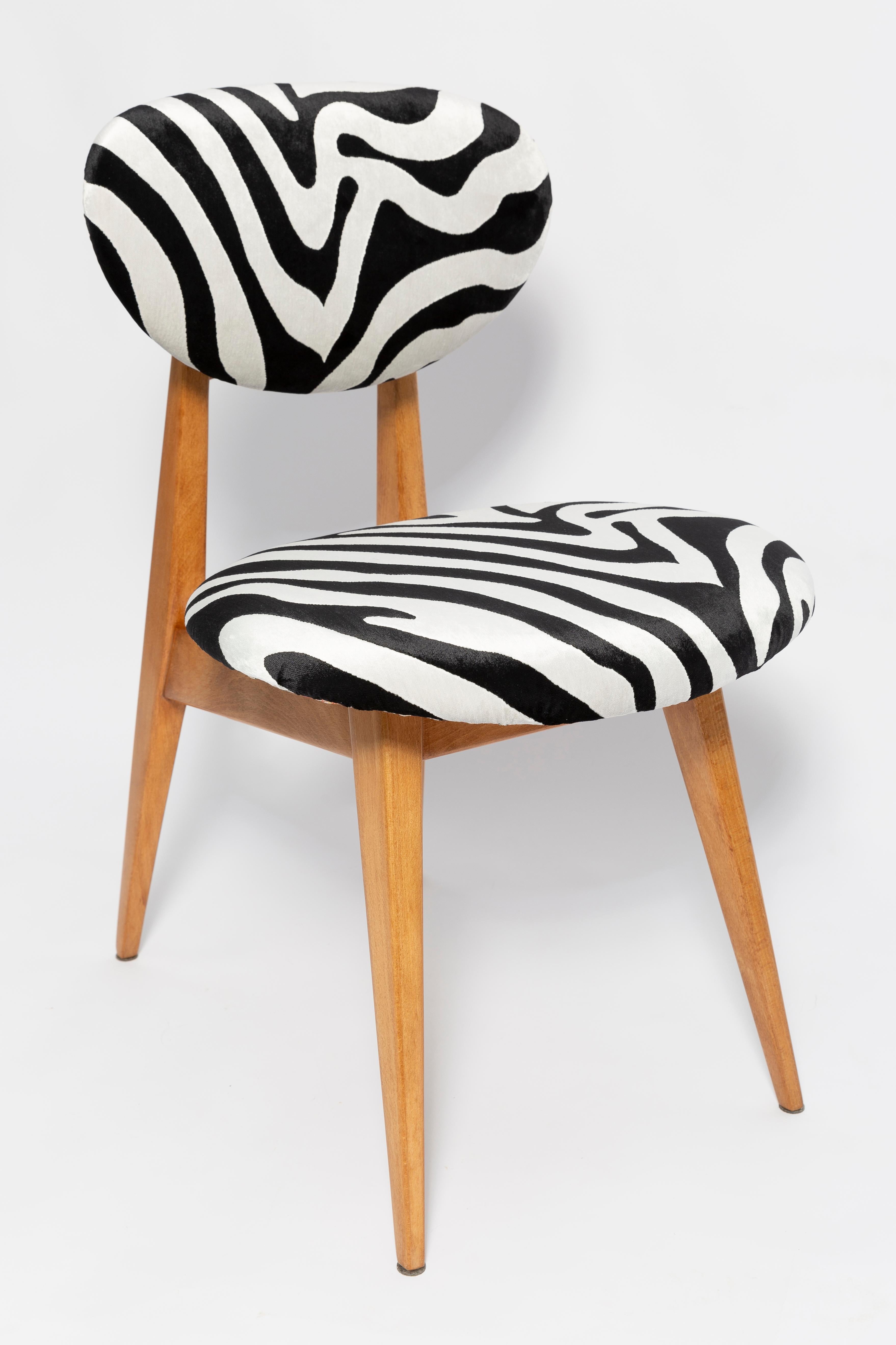 Mid-Century Modern Set of Six Mid-Century Zebra Chairs, Type 200/128 by J. Kedziorek, Europe, 1960s For Sale