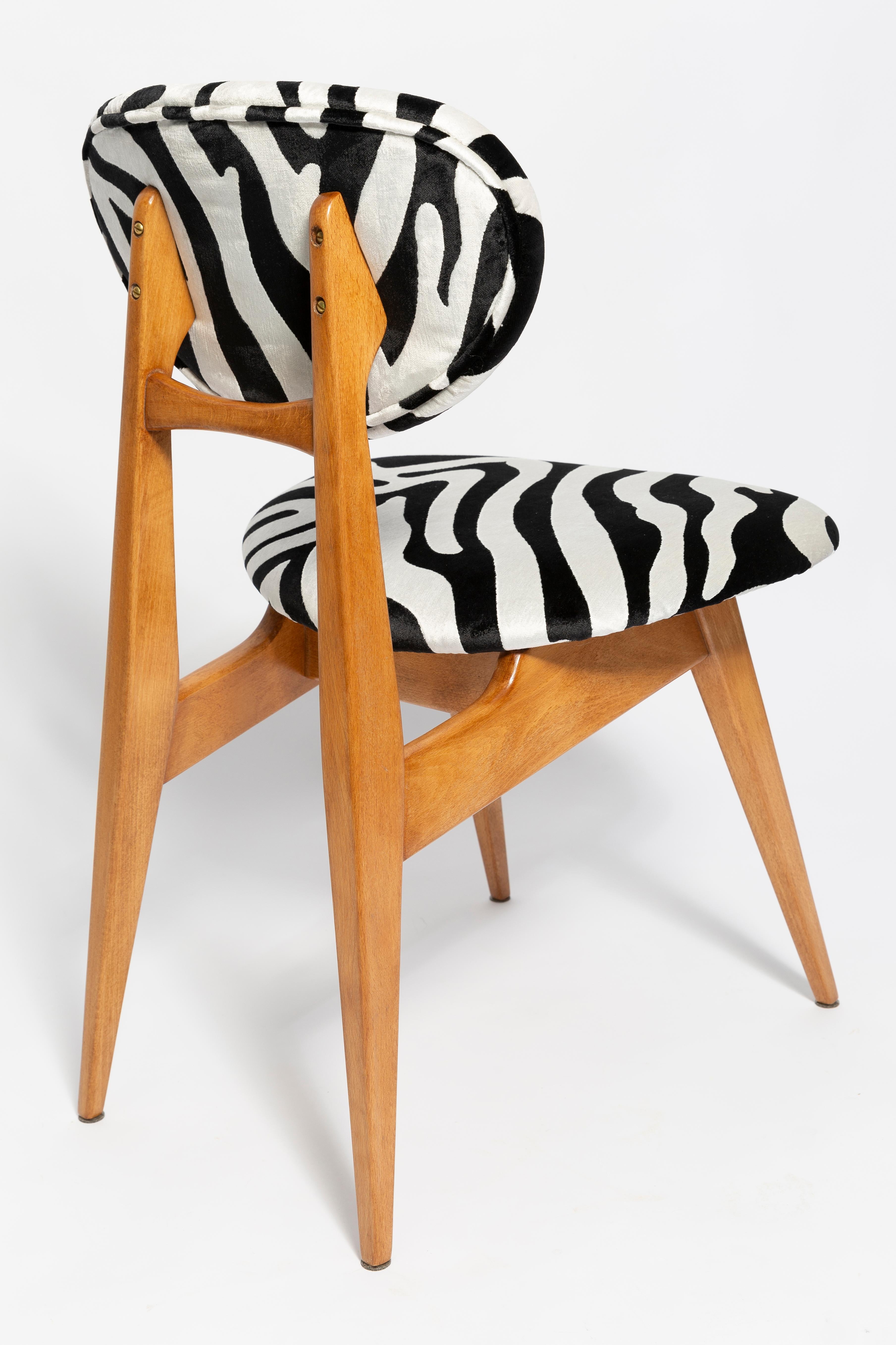 Set of Six Mid-Century Zebra Chairs, Type 200/128 by J. Kedziorek, Europe, 1960s In Excellent Condition For Sale In 05-080 Hornowek, PL