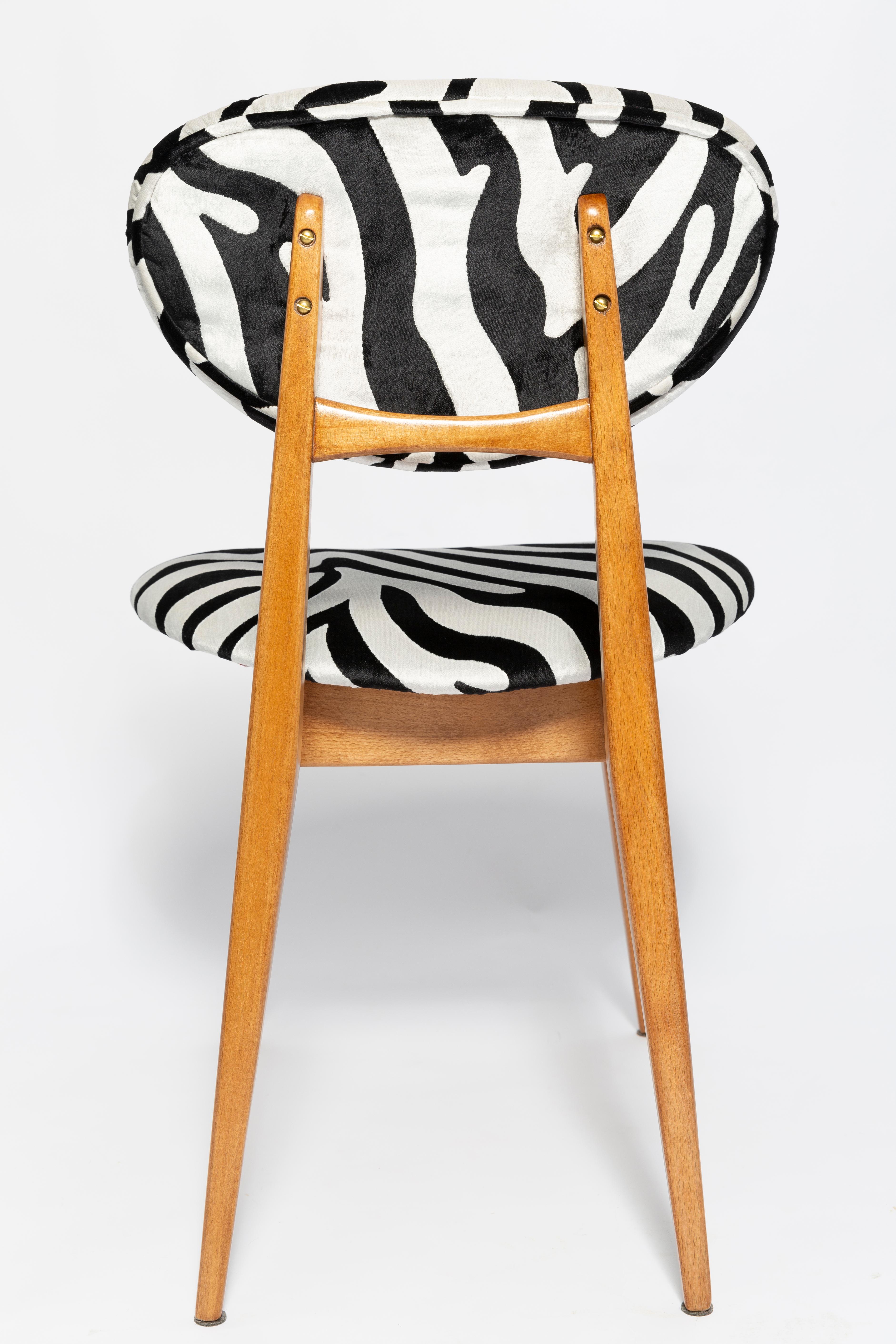 Velvet Set of Six Mid-Century Zebra Chairs, Type 200/128 by J. Kedziorek, Europe, 1960s For Sale