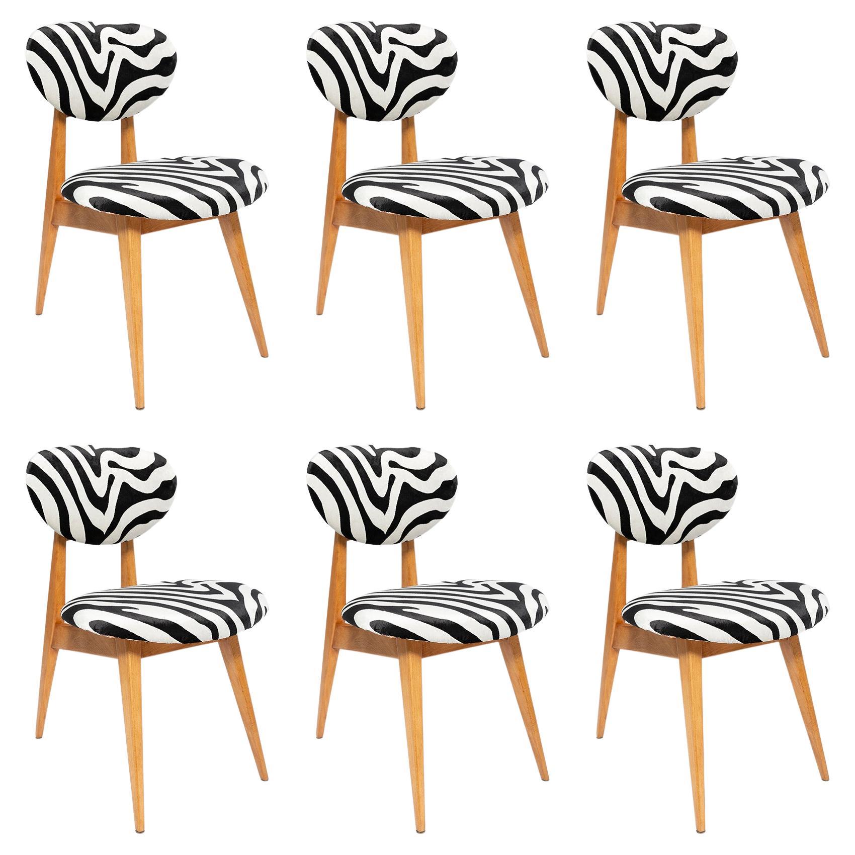 Set of Six Mid-Century Zebra Chairs, Type 200/128 by J. Kedziorek, Europe, 1960s