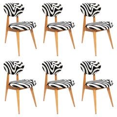 Set of Six Mid-Century Zebra Chairs, Type 200/128 by J. Kedziorek, Europe, 1960s