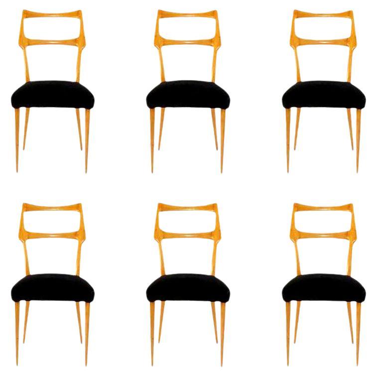Set of Six Midcentury Dining Chairs in Maple, Italy