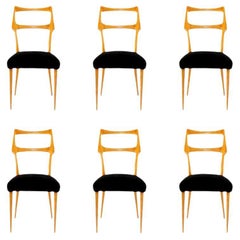 Set of Six Midcentury Dining Chairs in Maple, Italy