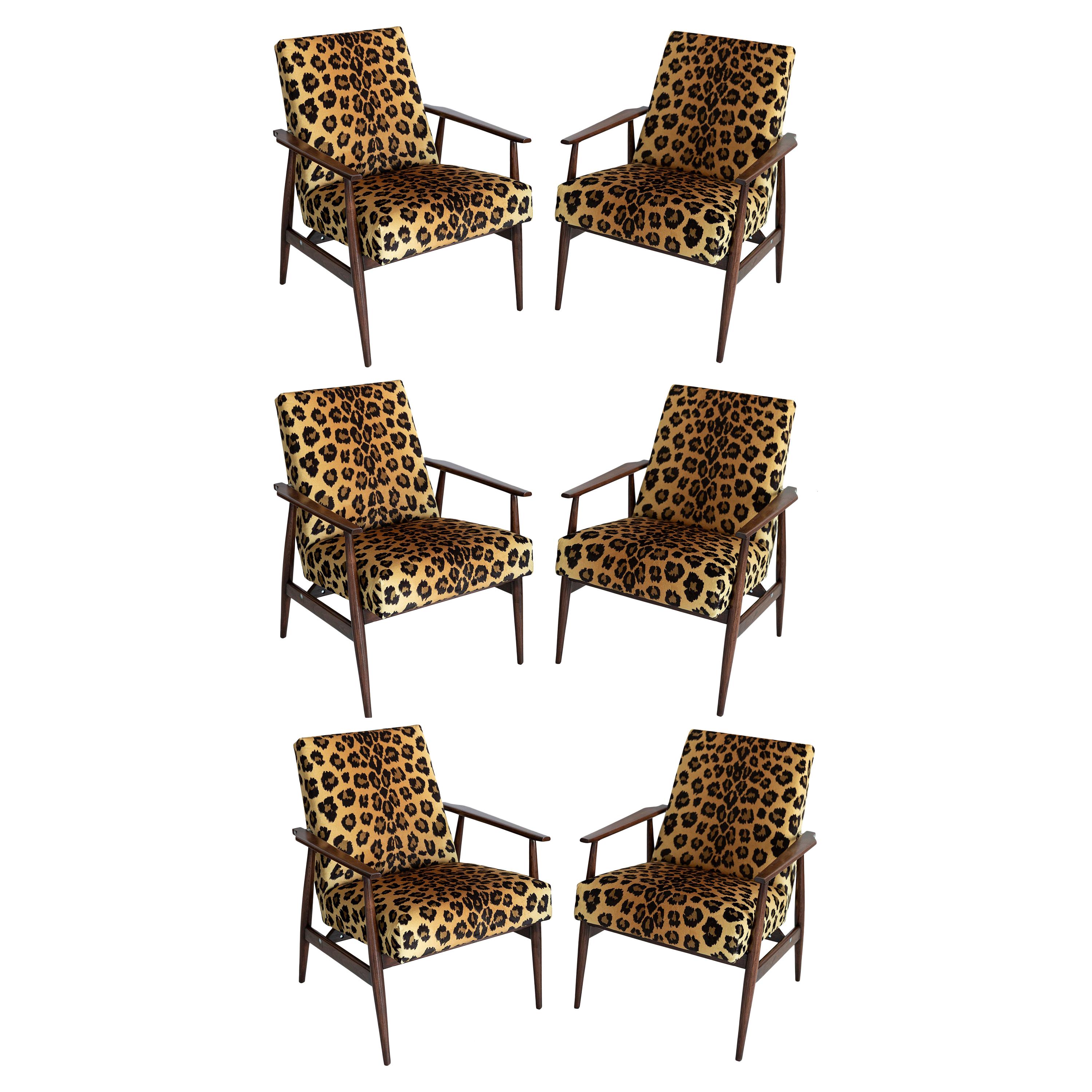 Set of Six Midcentury Leopard Print Velvet Dante Armchairs, H. Lis, 1960s For Sale