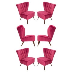 Juego de seis sillones Club de terciopelo rosa magenta de mediados de siglo, Europa, años 60