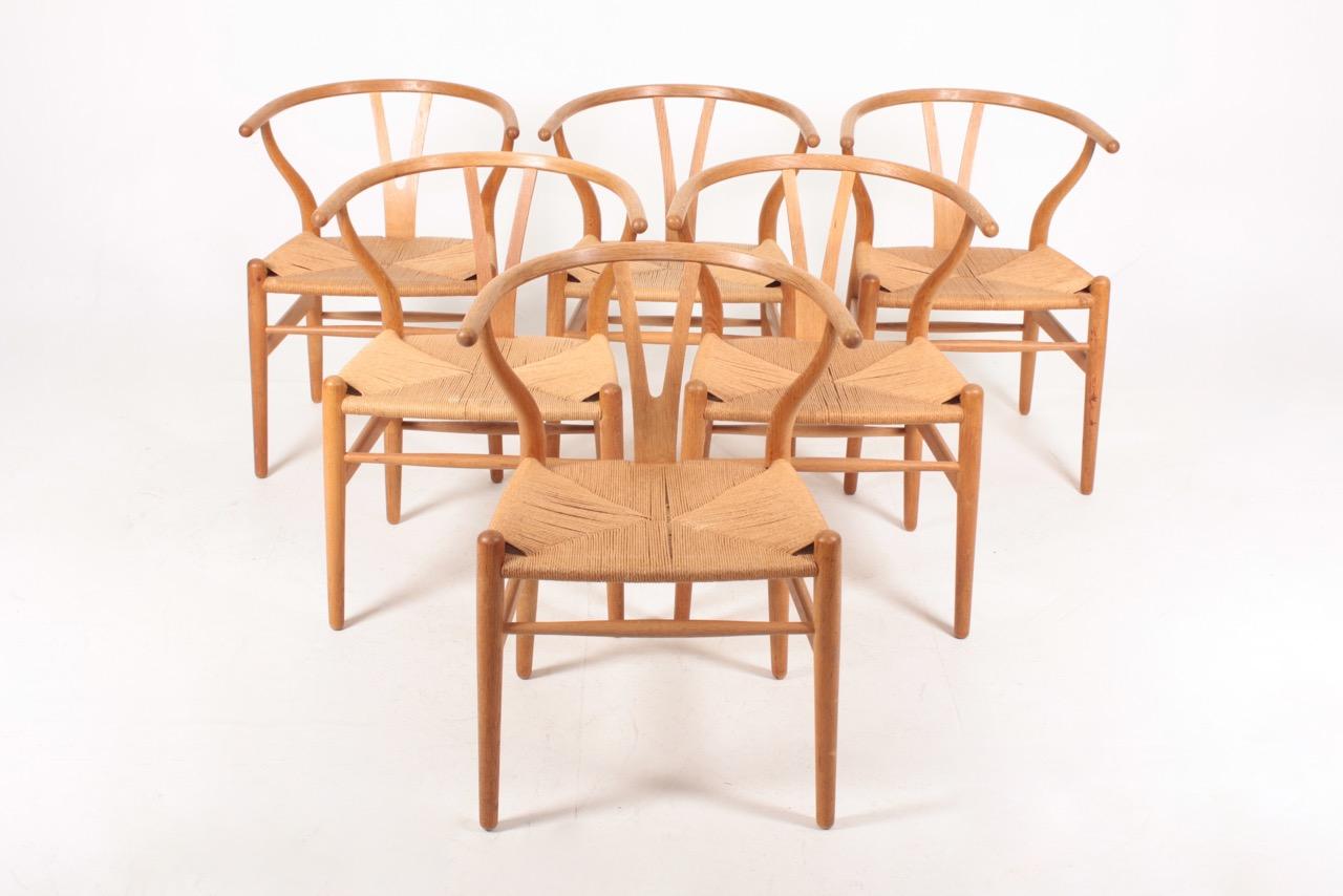 Set of six wishbone chairs in oak and paper cord designed by Hans J Wegner. Great original condition.