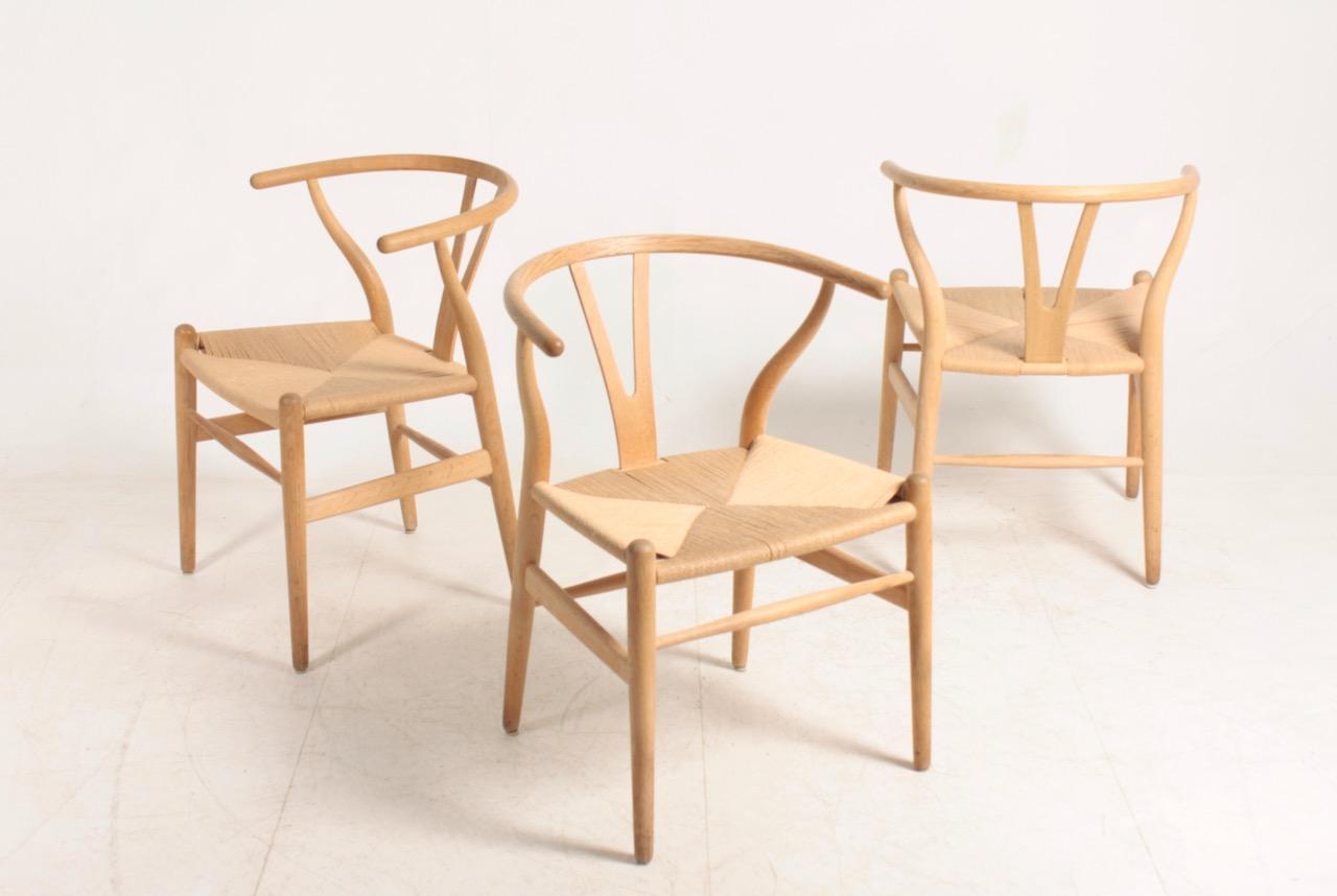 Ensemble de six chaises à boudin en chêne et cordon de papier conçues par Hans J. Wegner. Excellent état d'origine.