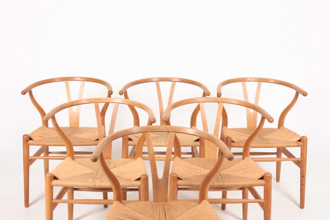 wishbone oak dining chairs