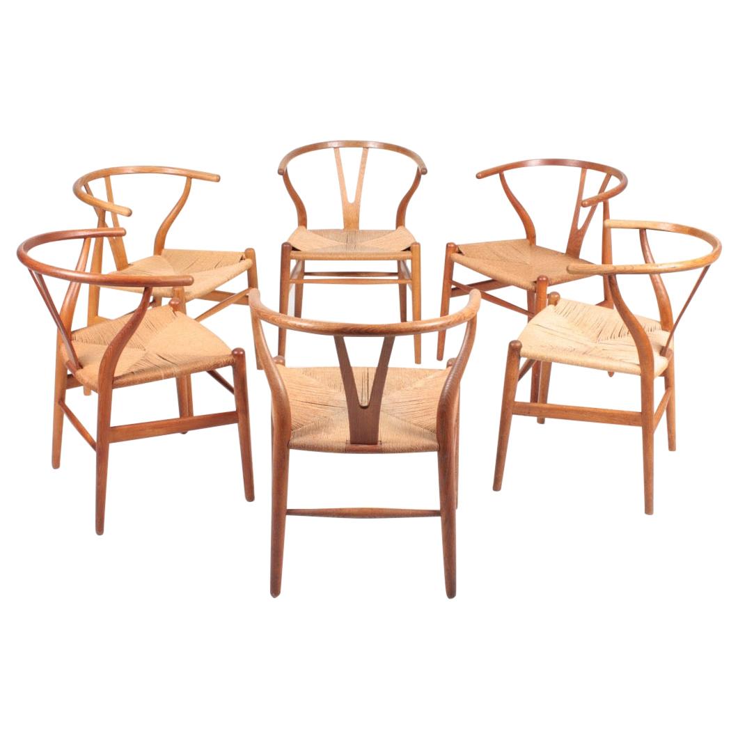Set of Six Midcentury Wishbone Chairs in Patinated Oak by Hans Wegner