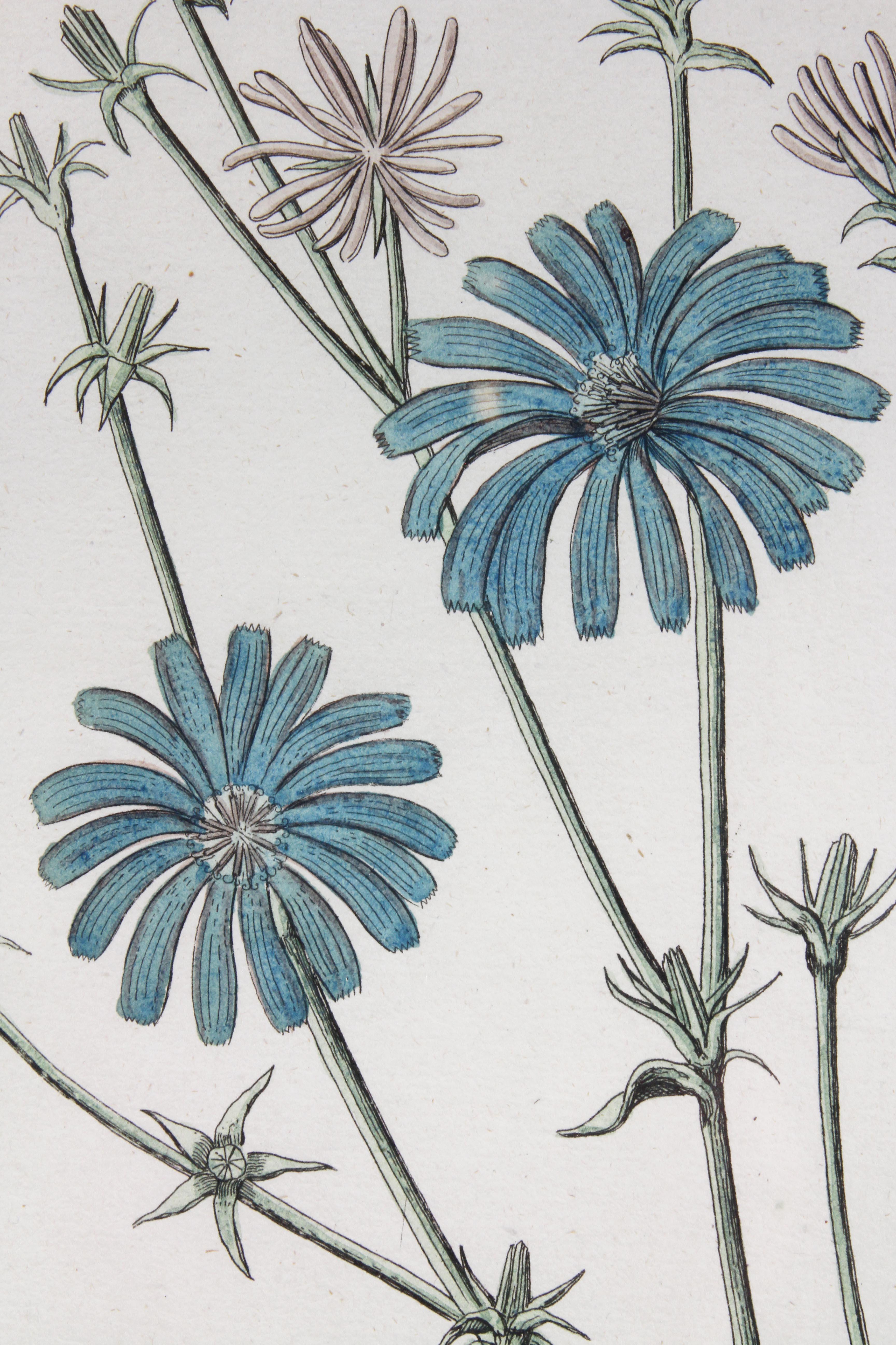black framed botanical prints
