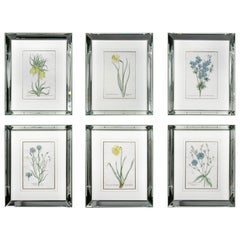 Set of Six Mirror Framed Botanical Prints