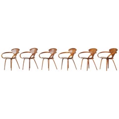 Set of Six Norman Cherner Pretzel Dining Chairs, Made by Plycraft, USA, 1960s