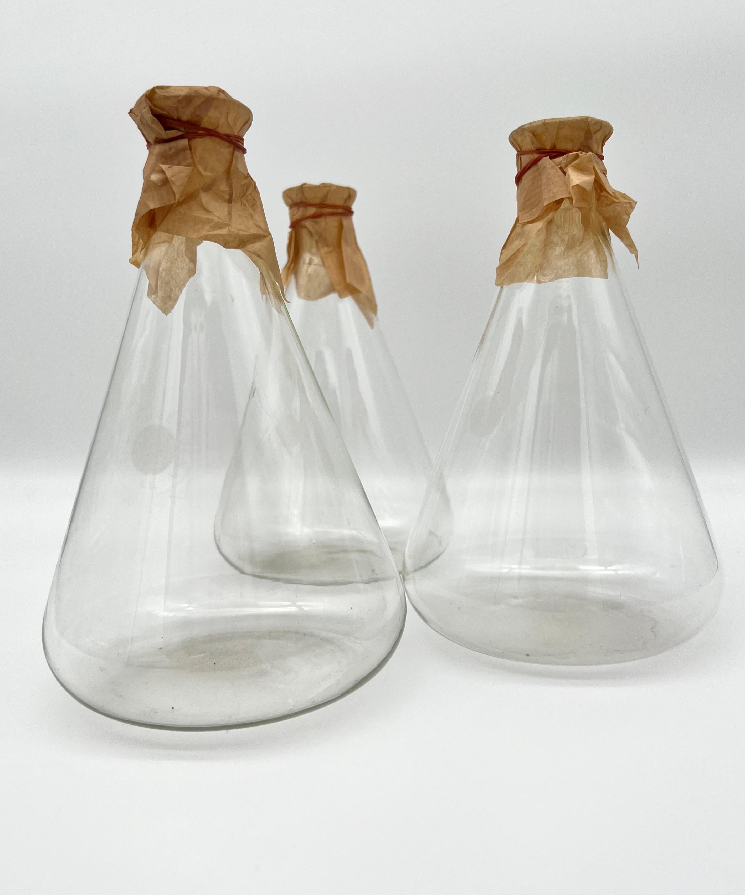 Set of Six Old Pharmacy Glass Bottles, Germany around 1900 For Sale 7