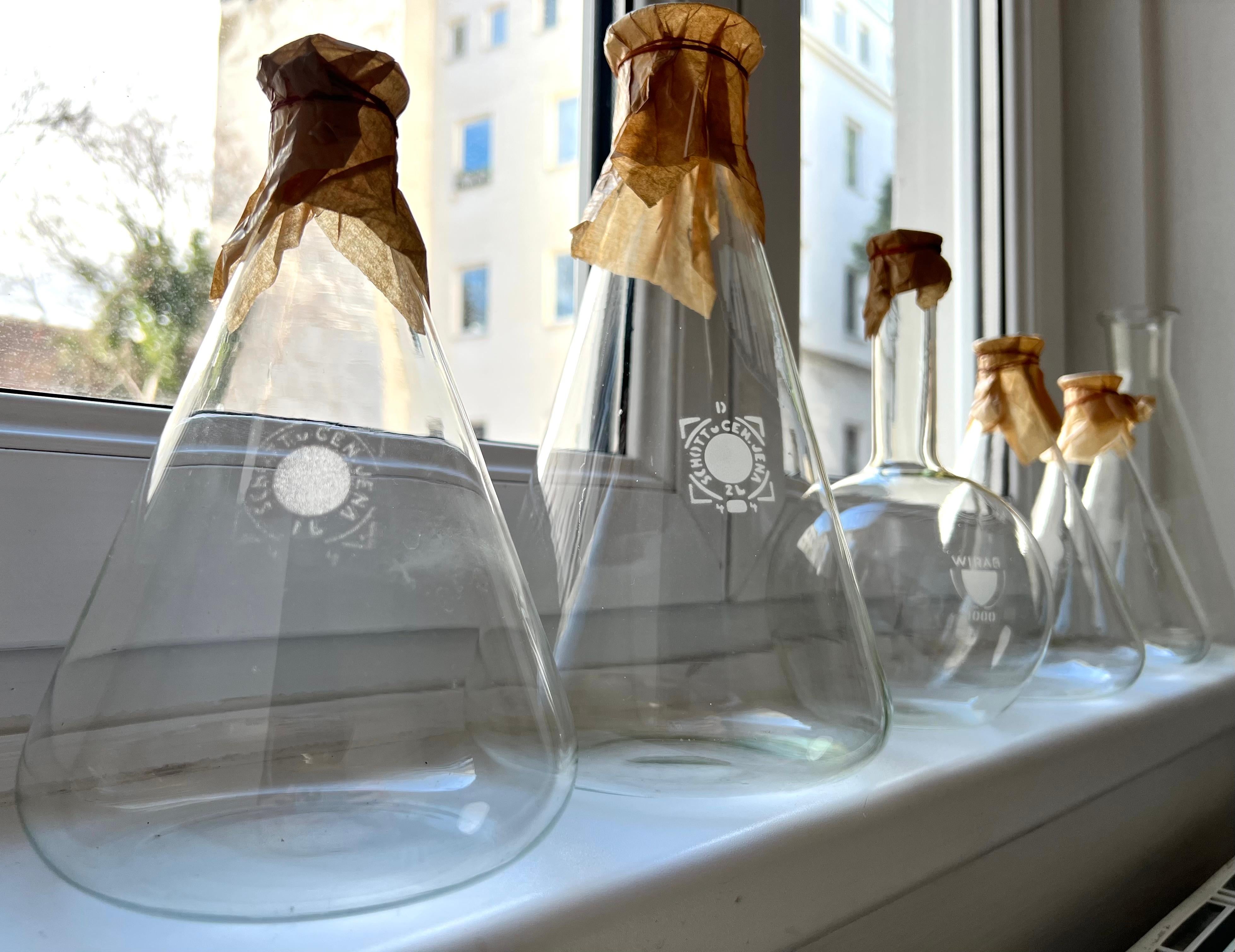 Allemand Ensemble de six bouteilles de verre de pharmacie anciennes, Allemagne, vers 1900 en vente