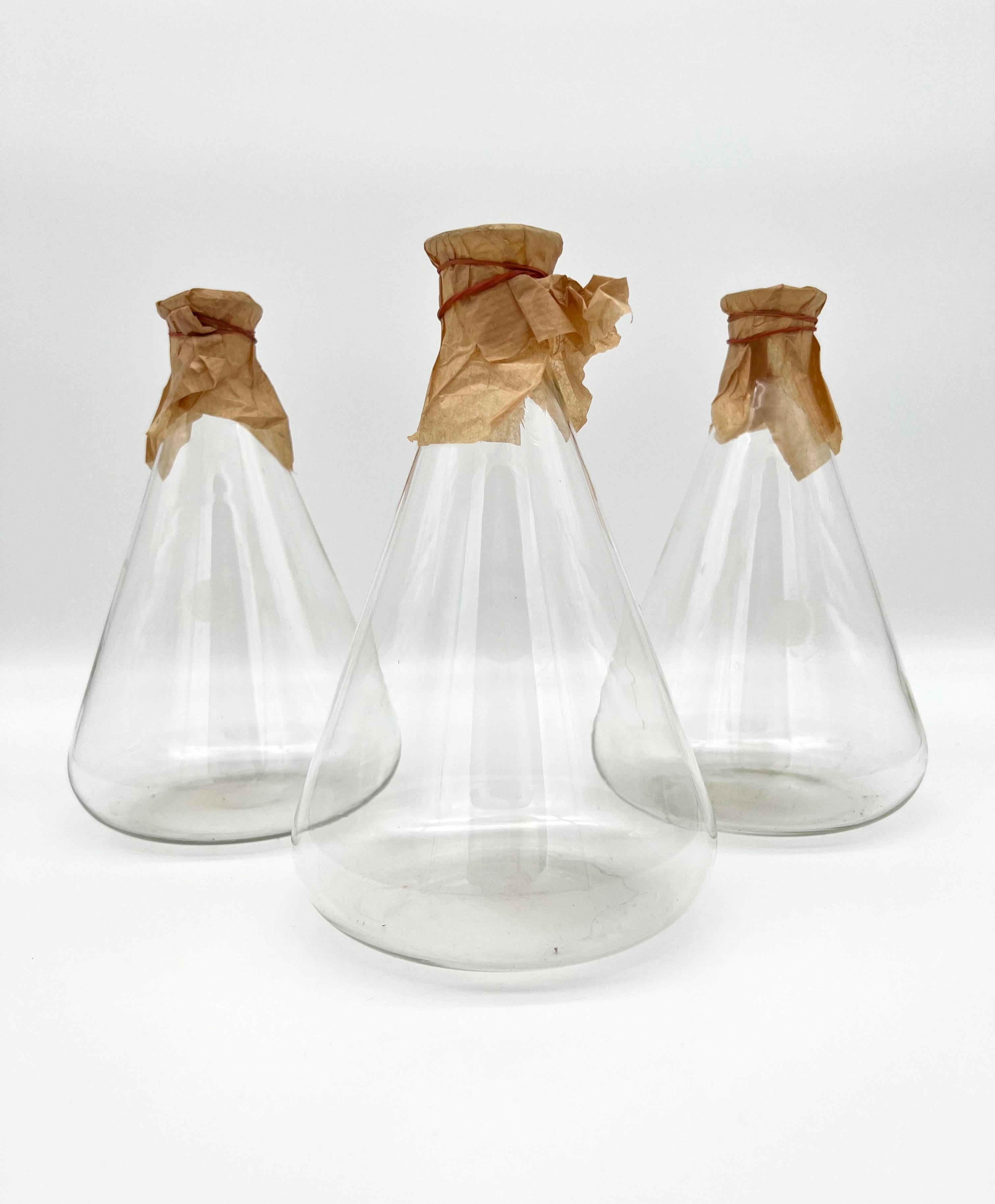 Set of Six Old Pharmacy Glass Bottles, Germany around 1900 For Sale 5