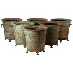 Used Set of Six Orange Tree Planters, France, Late 19th Century