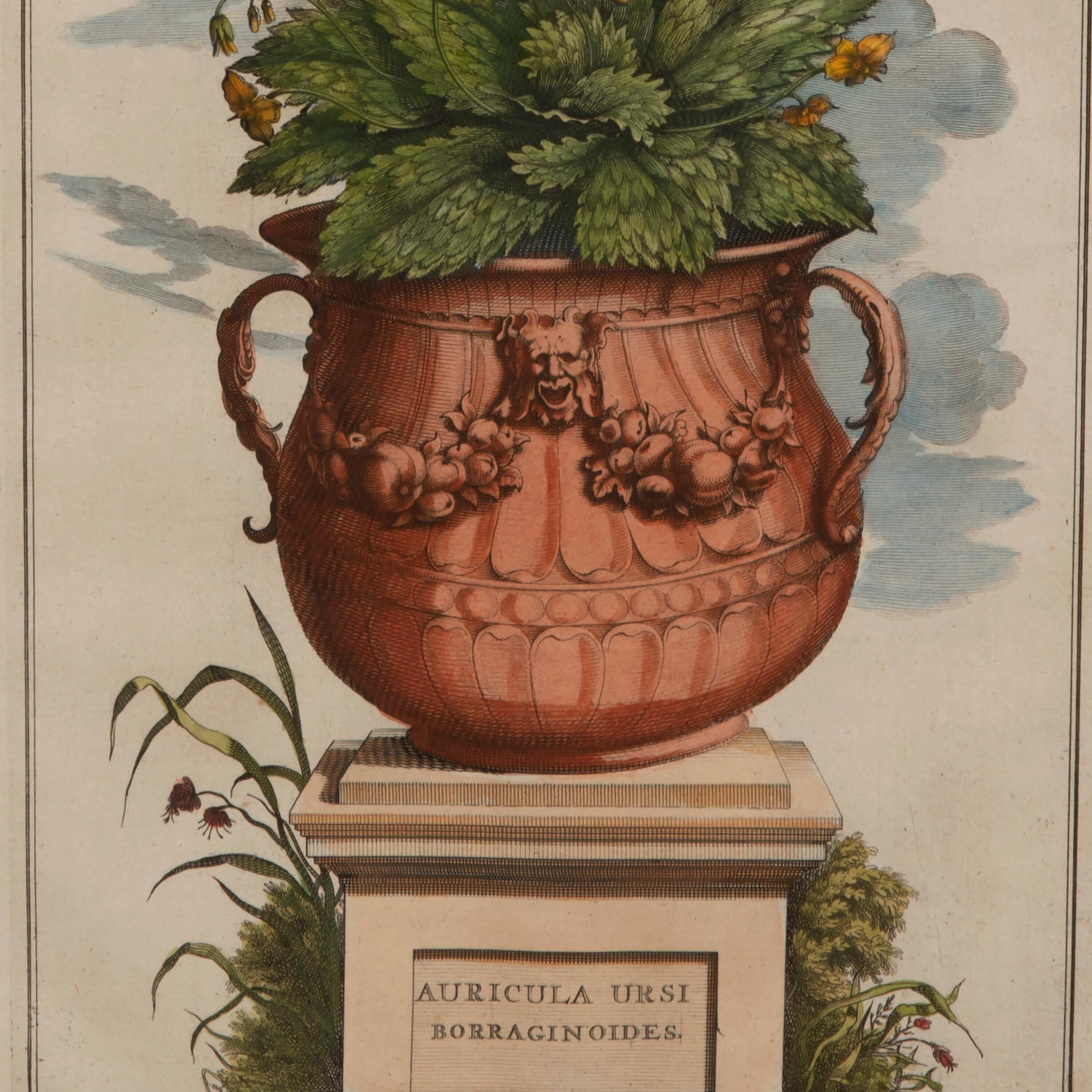 Late 17th Century Set of Six Original Abraham Munting Terracotta Vases
