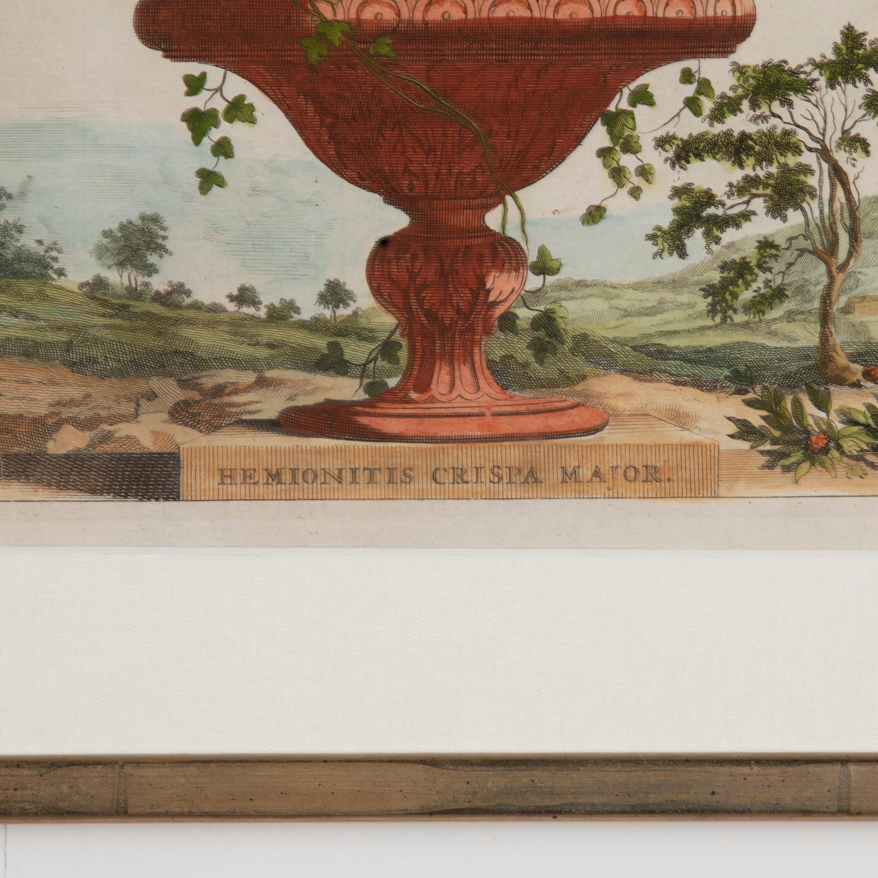 Set of Six Original Abraham Munting Terracotta Vases 1