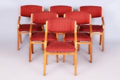 Set of Six Original Mid-Century Chairs, by Ludvik Volak, Maple, Czech, 1960s