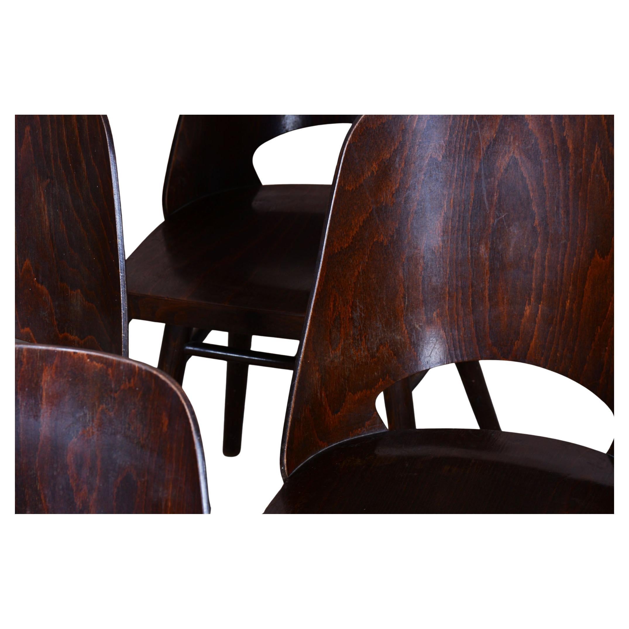 Cet élégant ensemble de six chaises Mid-Century provient de Tchécoslovaquie et date des années 1950. Les chaises sont en bois de Beeche - une combinaison de contreplaqué et de bois massif - et ont été conservées dans un très bon état d'origine.