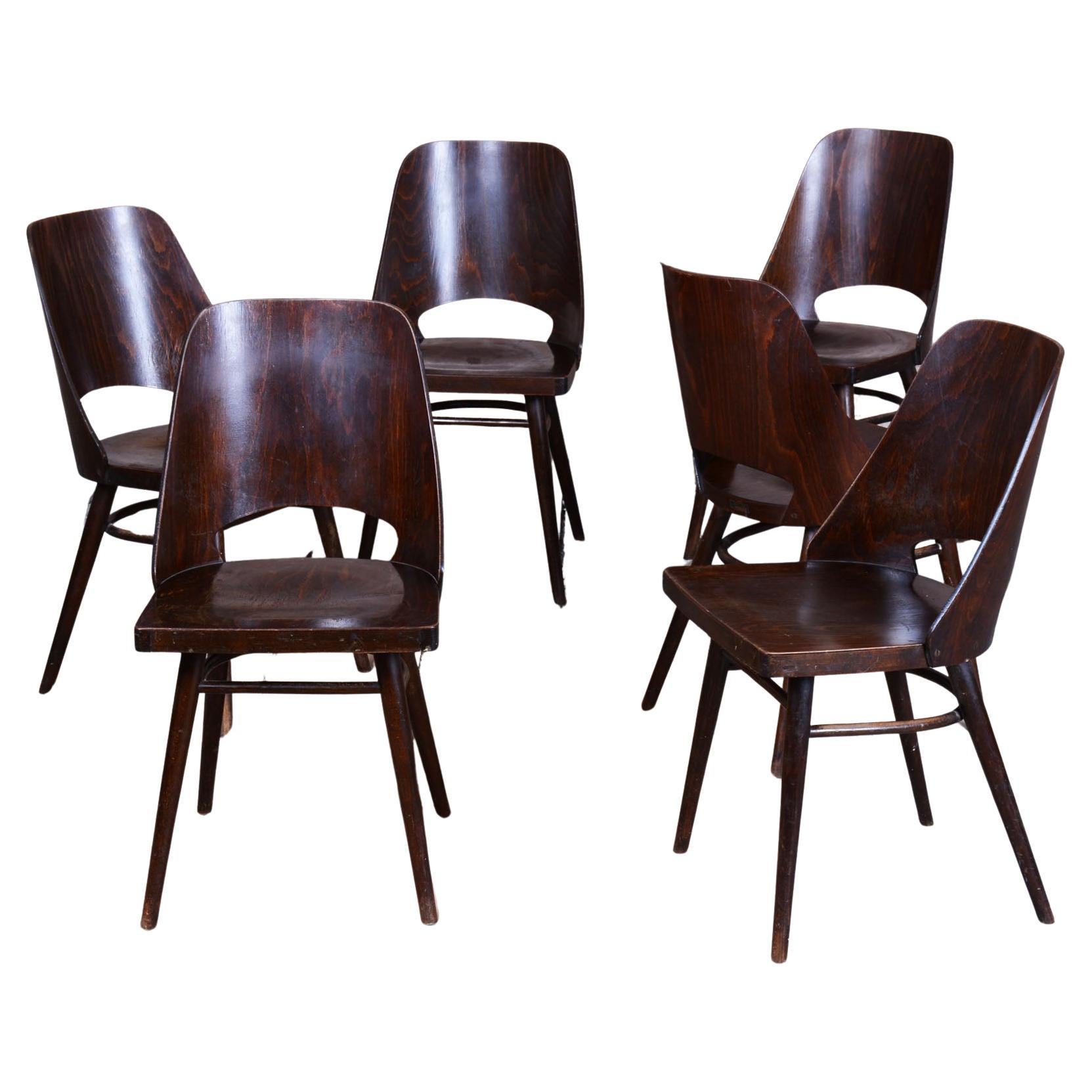 Ensemble de six chaises originales du milieu du siècle, par Oswald Heardtl, Beeche, République tchèque, années 1950 en vente
