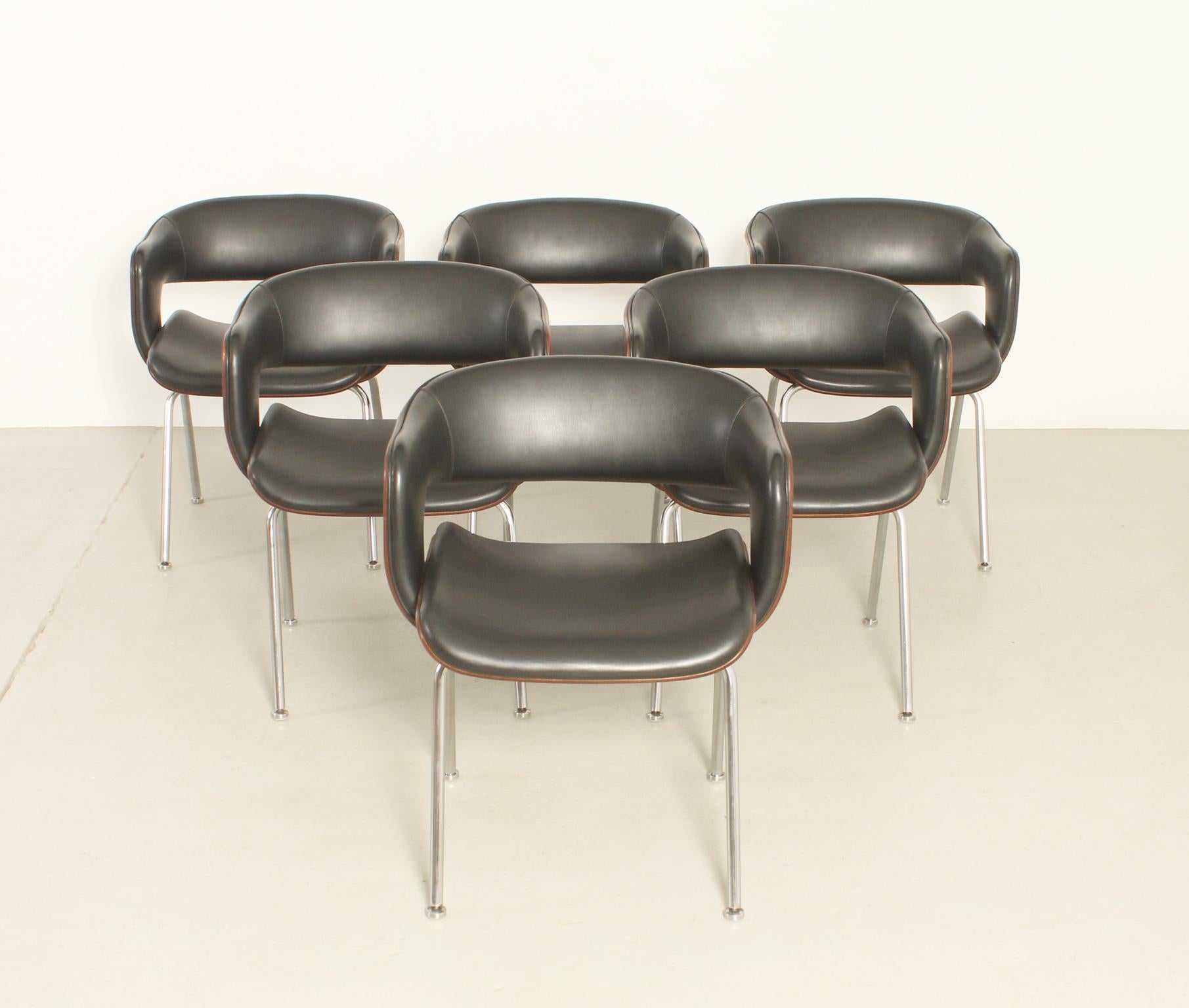 Set of Six Oxford Chairs by Martin Grierson for Arflex, 1963 For Sale 7