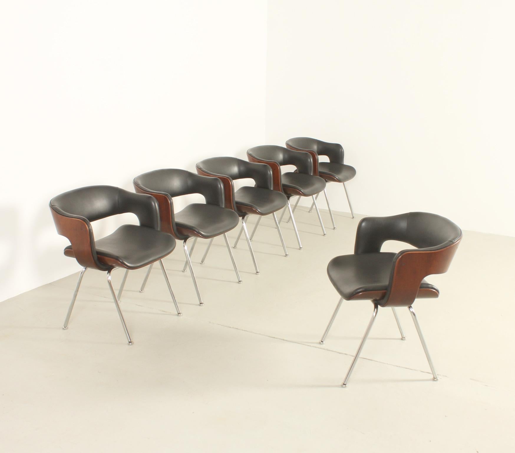 Mid-20th Century Set of Six Oxford Chairs by Martin Grierson for Arflex, 1963 For Sale