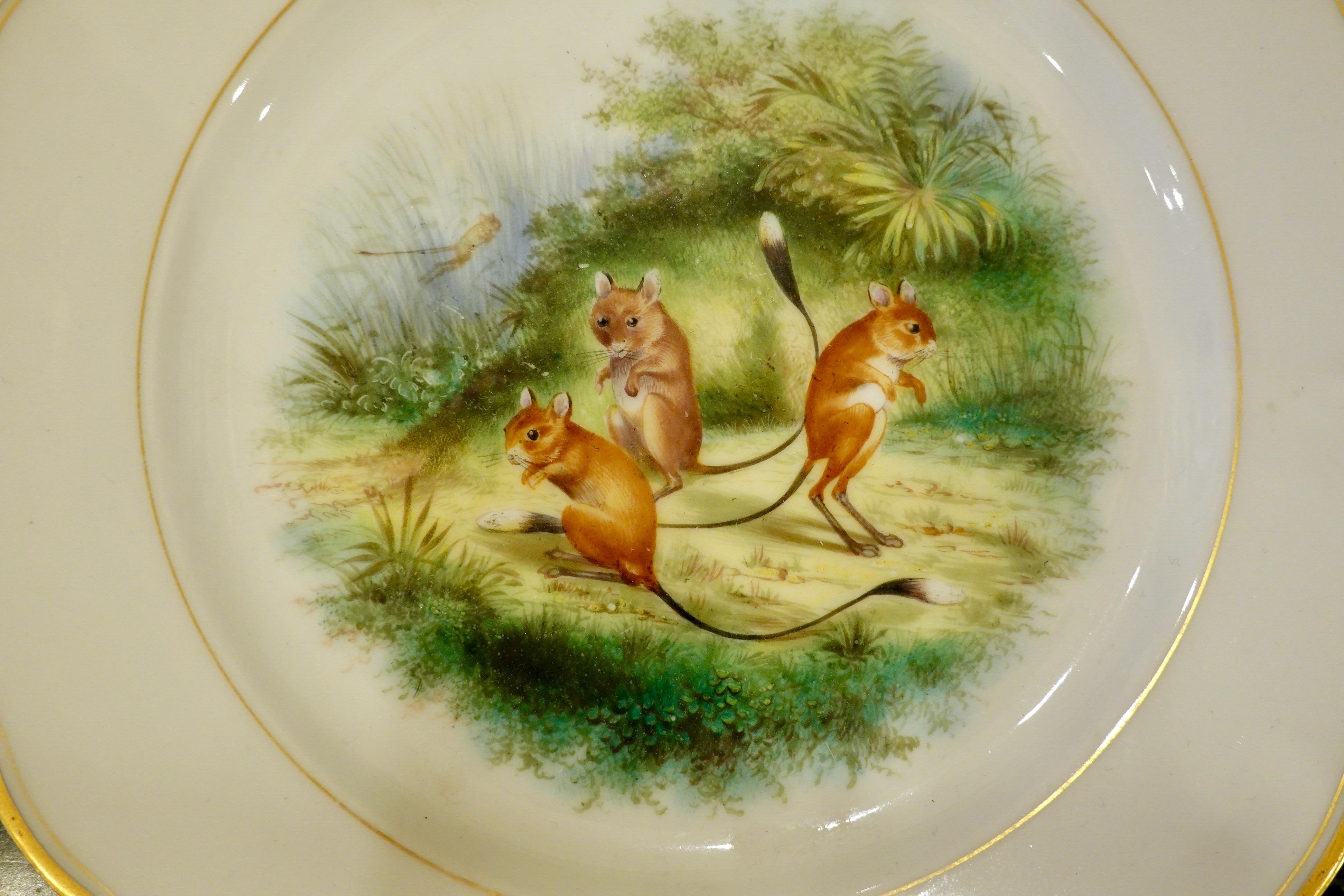 Ensemble de six assiettes à fruits en porcelaine de Paris avec des scènes d'animaux peintes à la main en vente 5