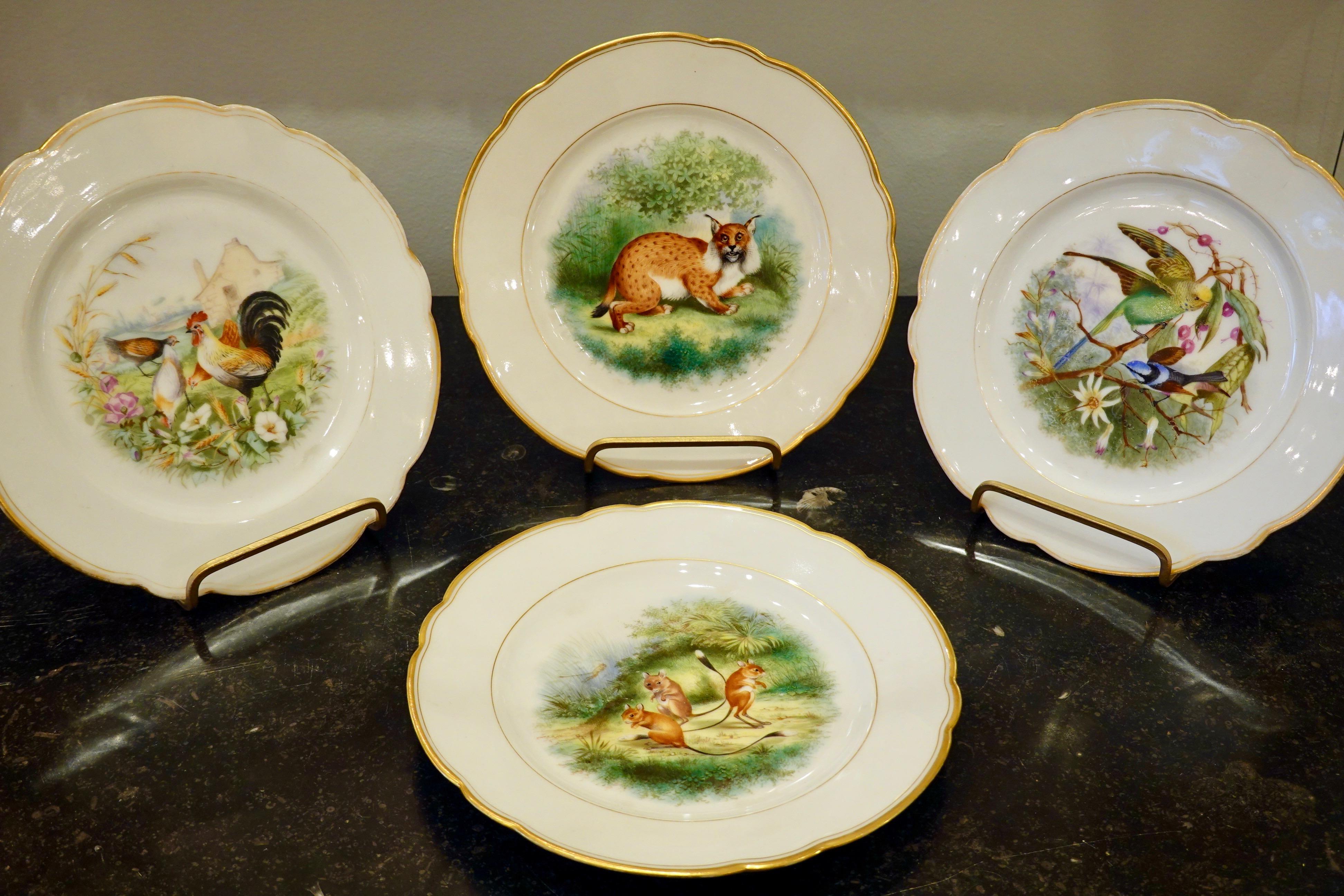 Set of six Paris porcelain scalloped plates with hand-painted scenes of birds and animals set in fanciful or pastoral environments, some with castles. Scenes include a lynx in a forest, parakeets with orchids, peacocks with a castle, mice playing, a