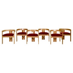 Set of Six Pigreco Chairs by Afra & Tobia Scarpa for Gavina, Italy, 1960s