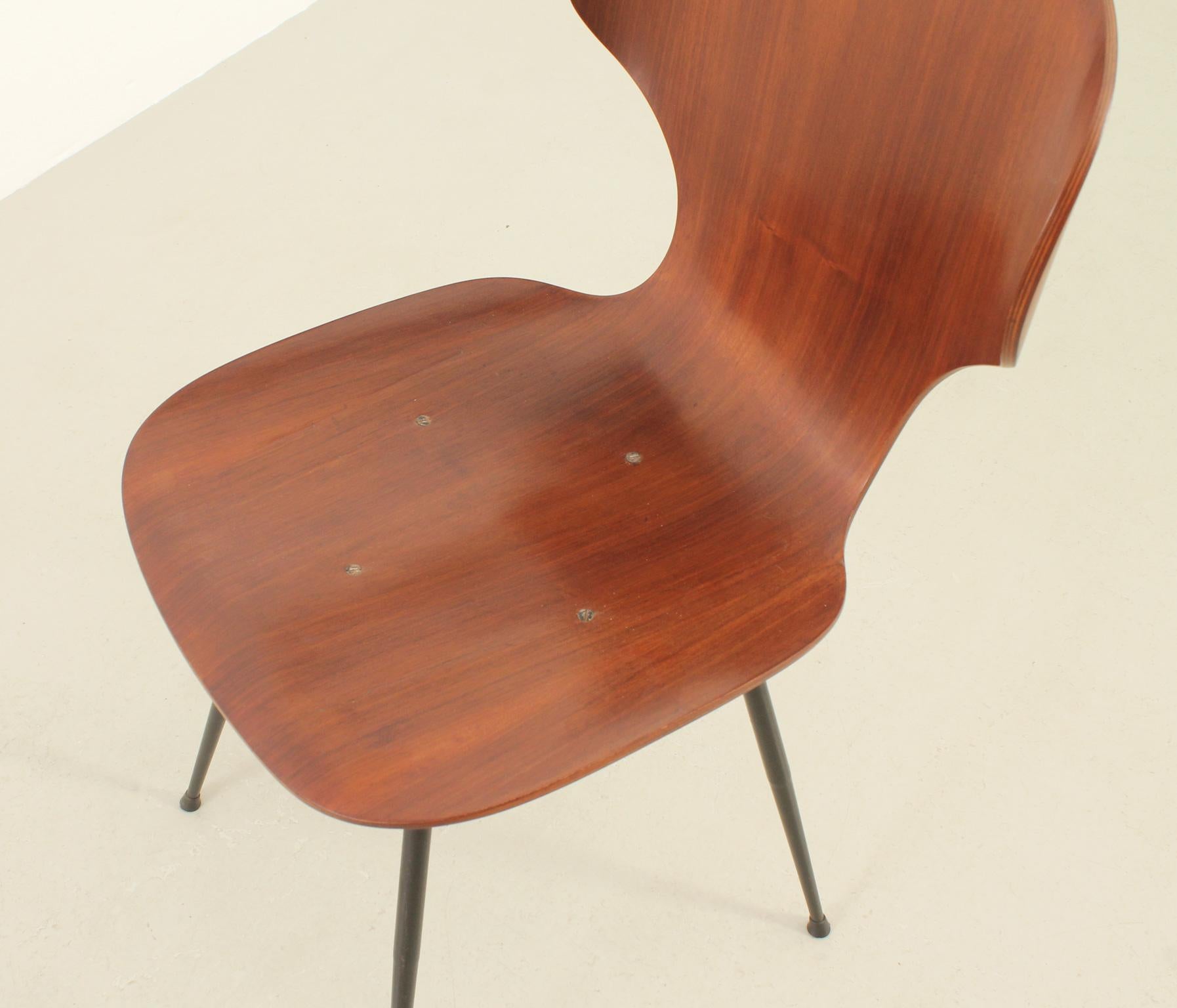 Set of Six Plywood Side Chairs by Carlo Ratti, Italy, 1950's For Sale 4