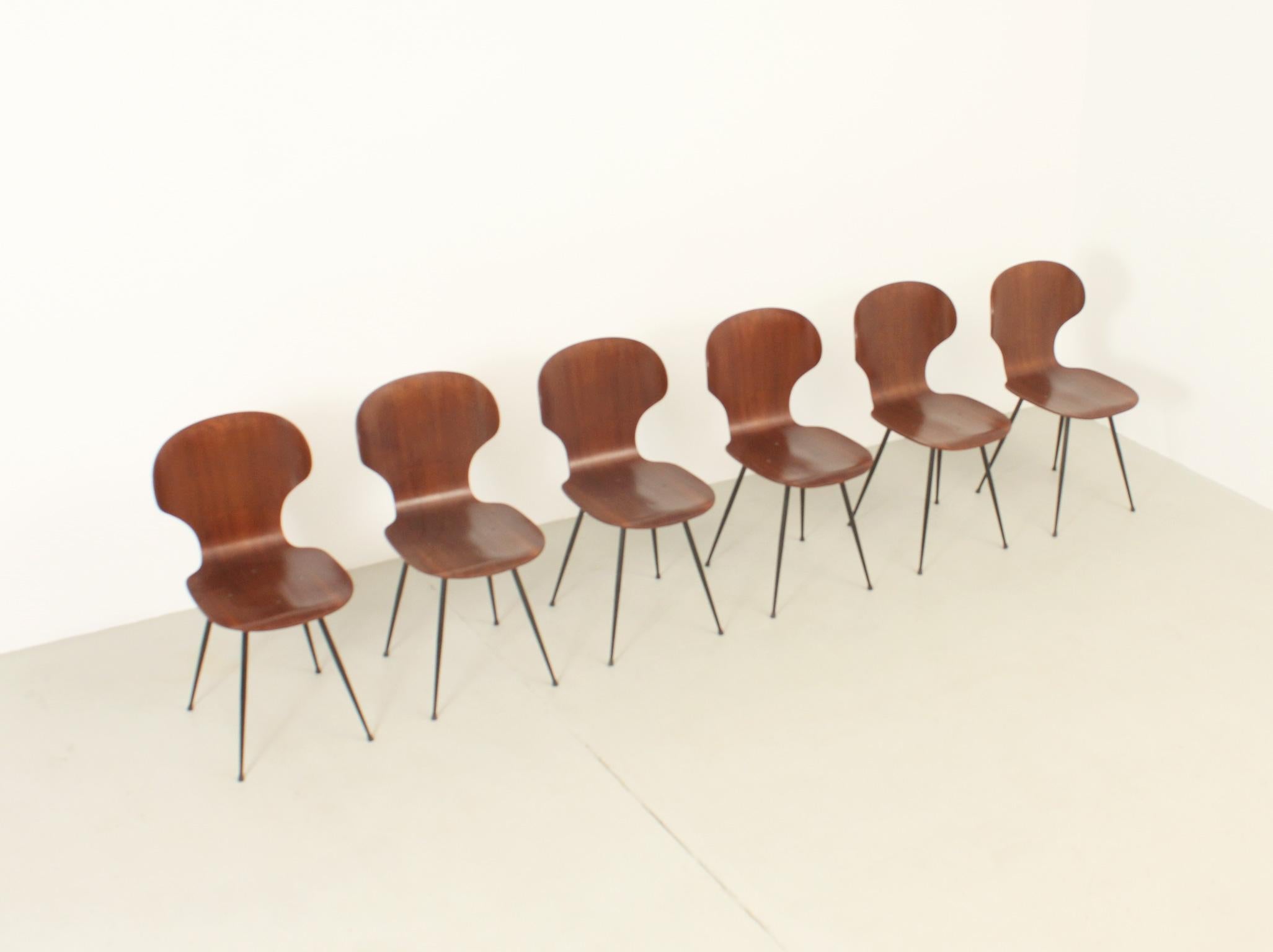 Set of Six Plywood Side Chairs by Carlo Ratti, Italy, 1950's For Sale 6
