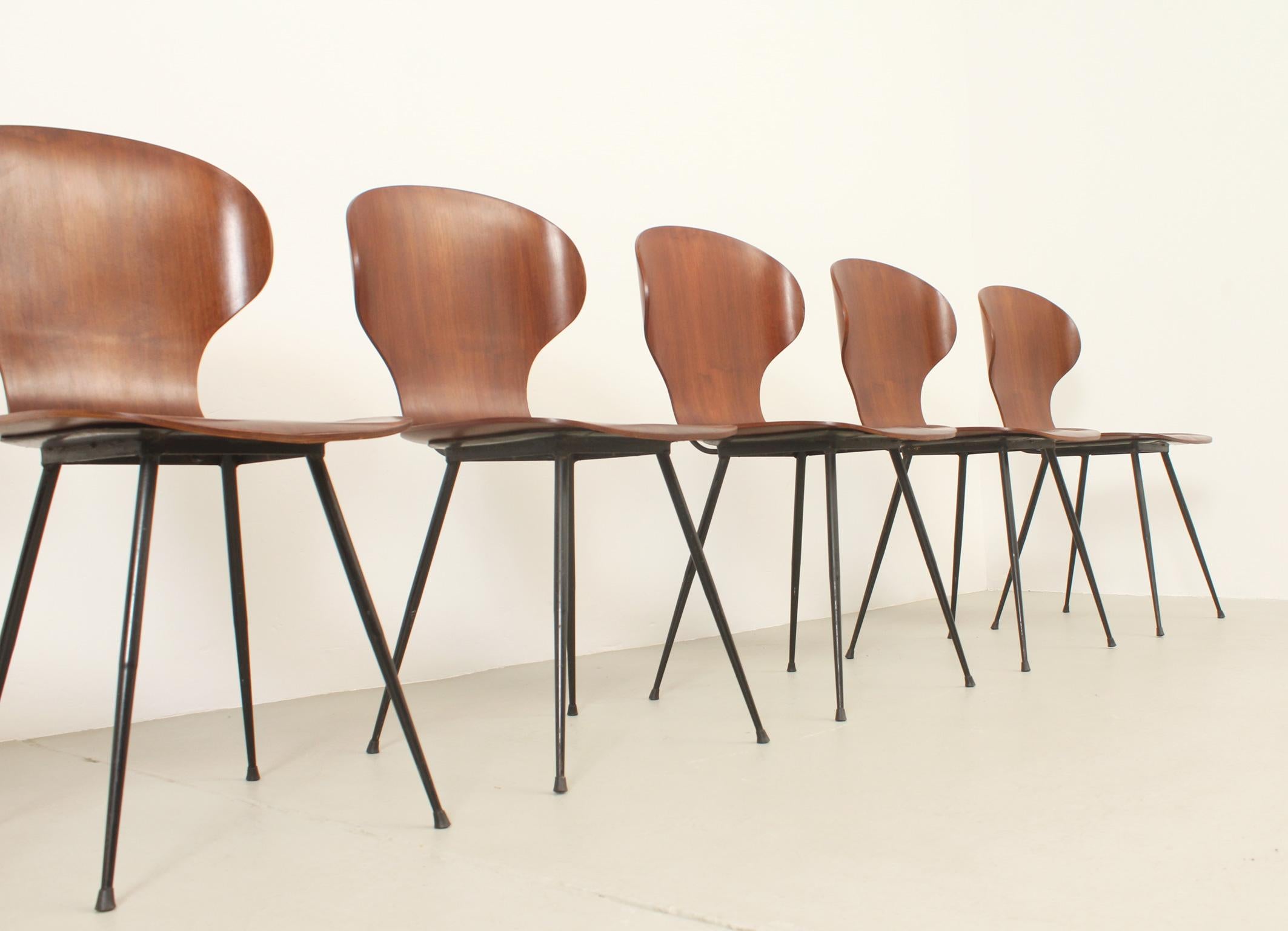 Set of Six Plywood Side Chairs by Carlo Ratti, Italy, 1950's For Sale 7