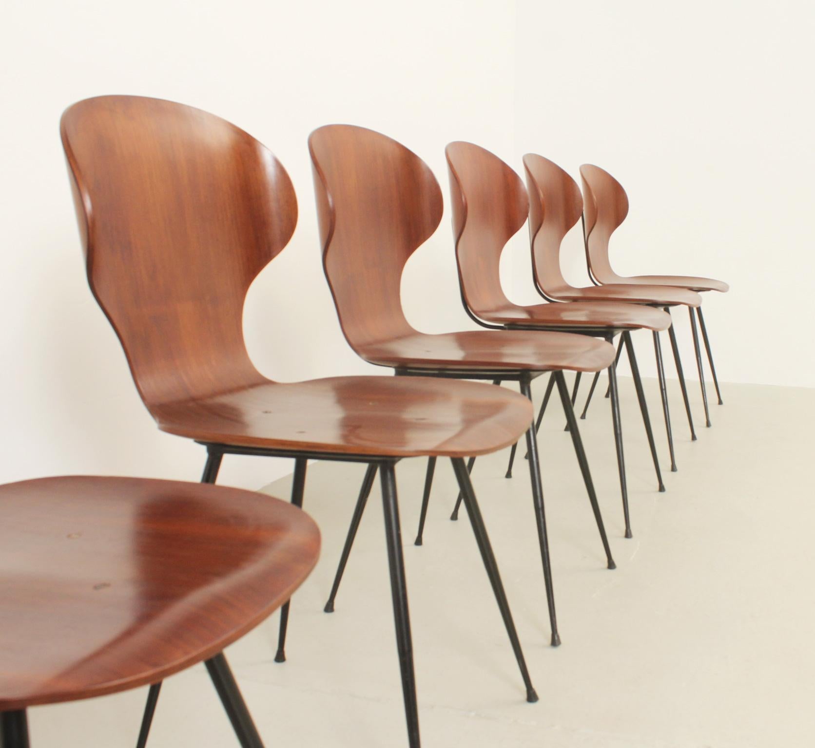 Set of Six Plywood Side Chairs by Carlo Ratti, Italy, 1950's For Sale 8